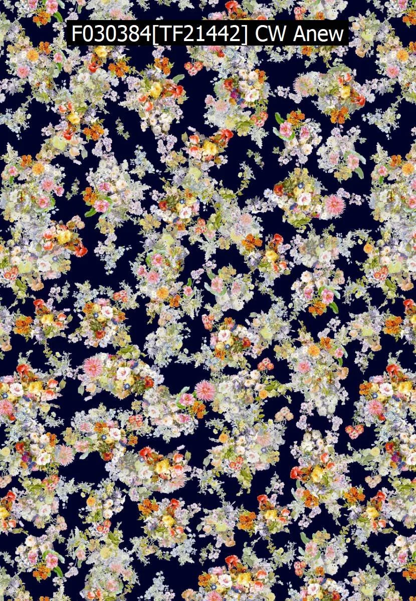 F030384[TF21442] CW Anew.jpg