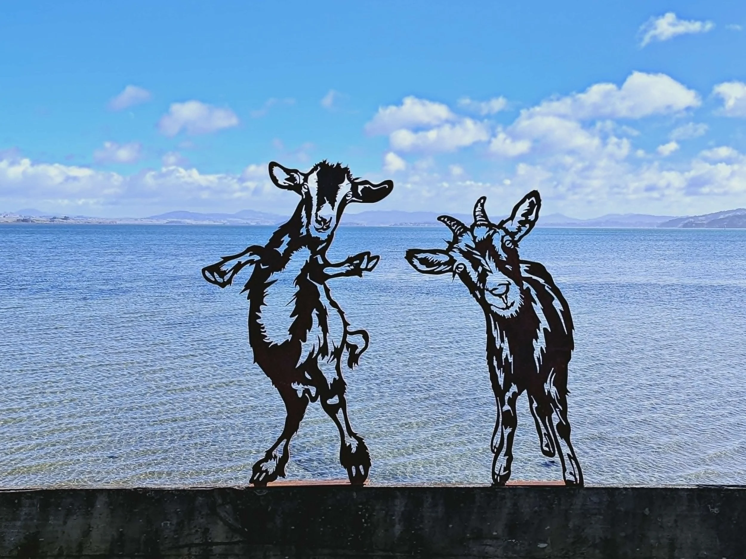Pair of Cheeky Goats