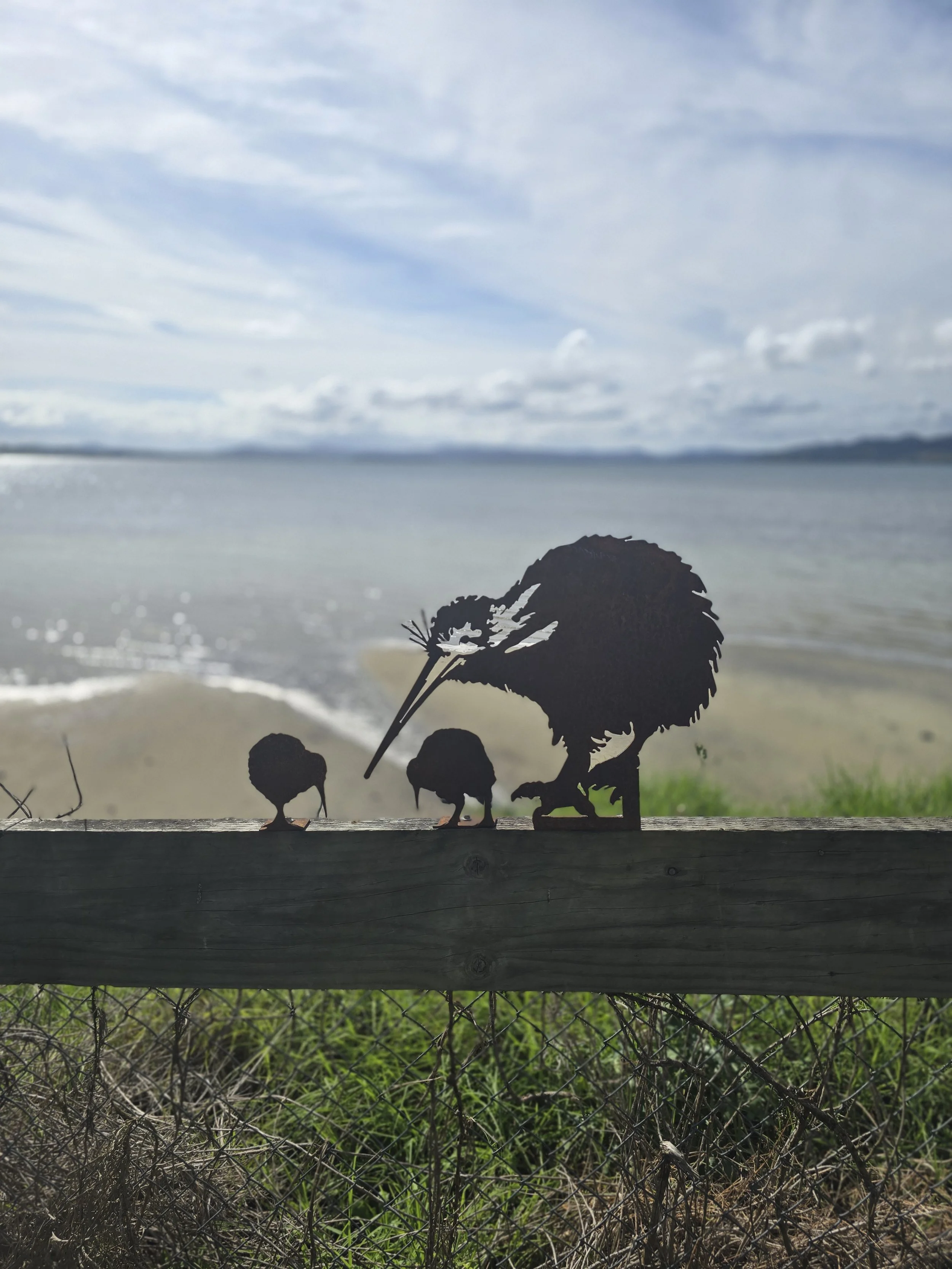 Mounted Kiwi Family - Reduced to Clear