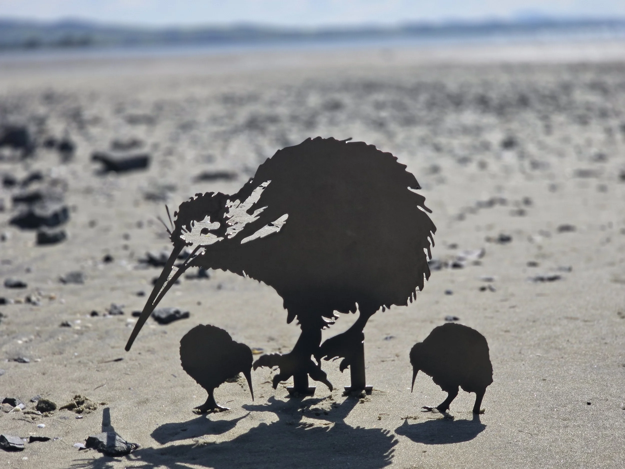 Kiwi Family