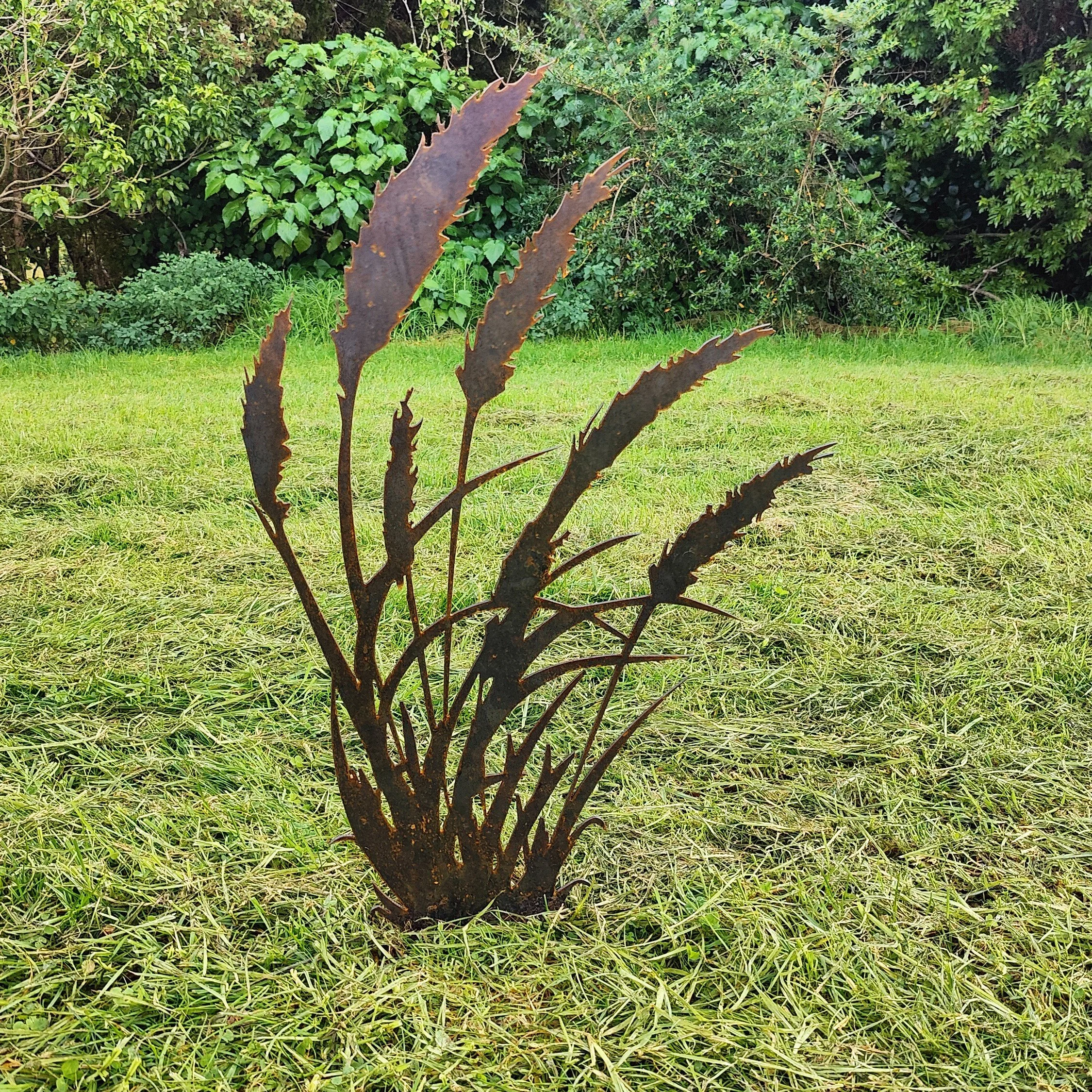 toetoeupdated (2).jpg