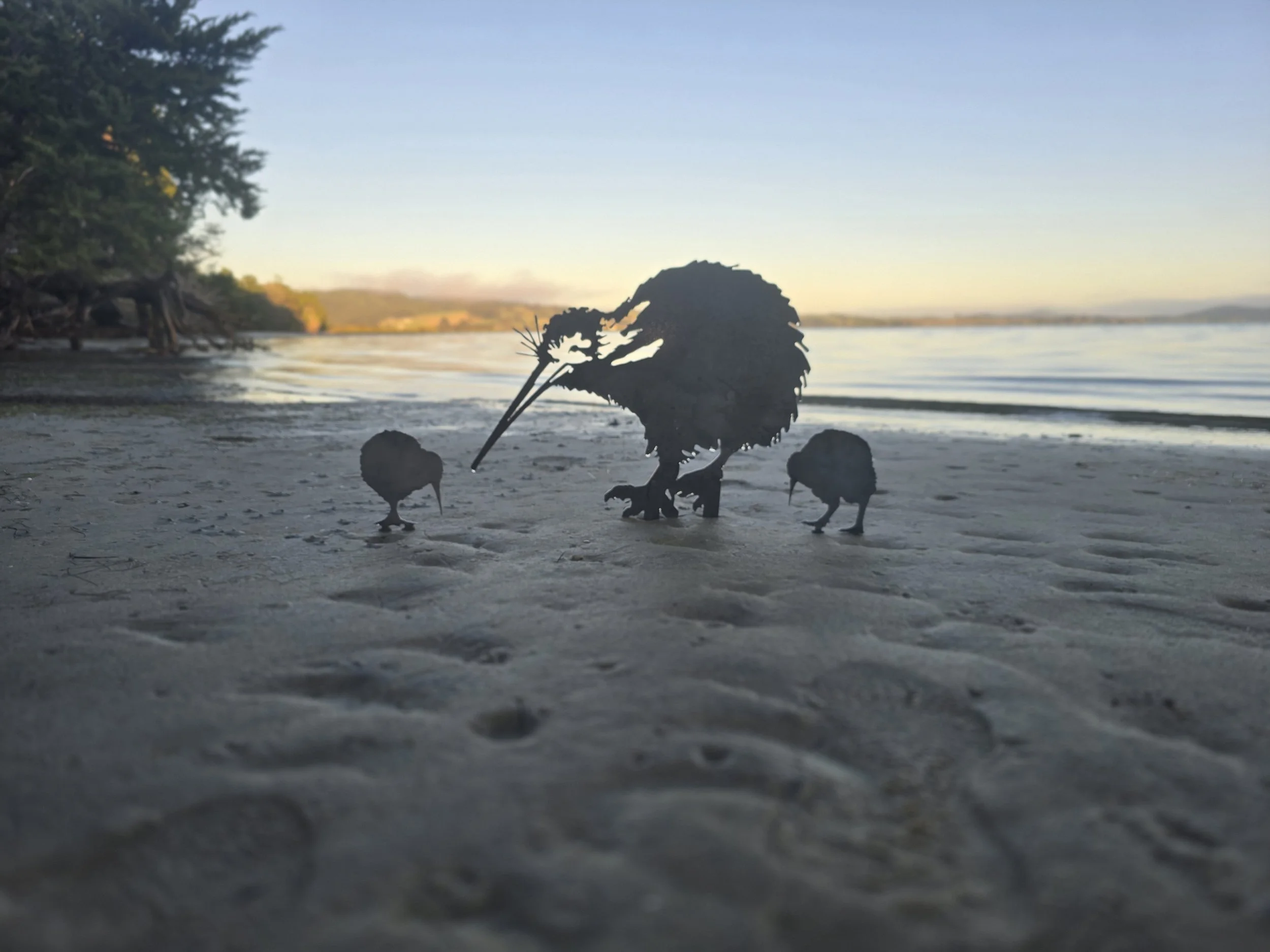 Kiwi Family