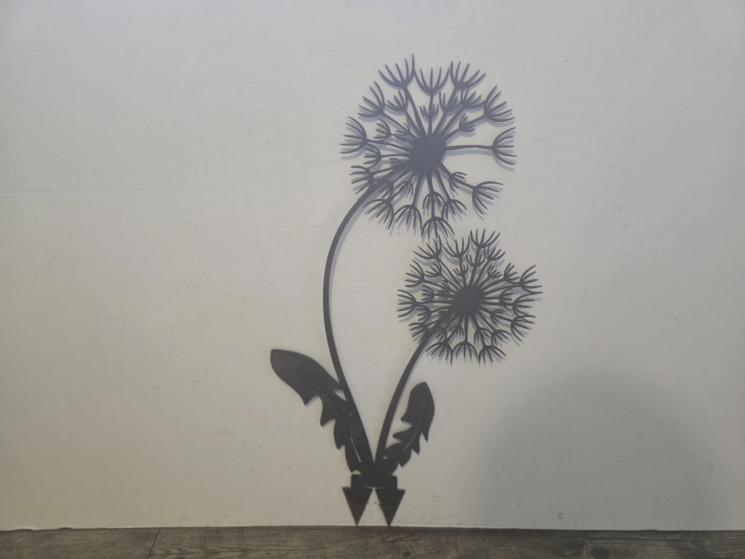 Dandelion - SECOND