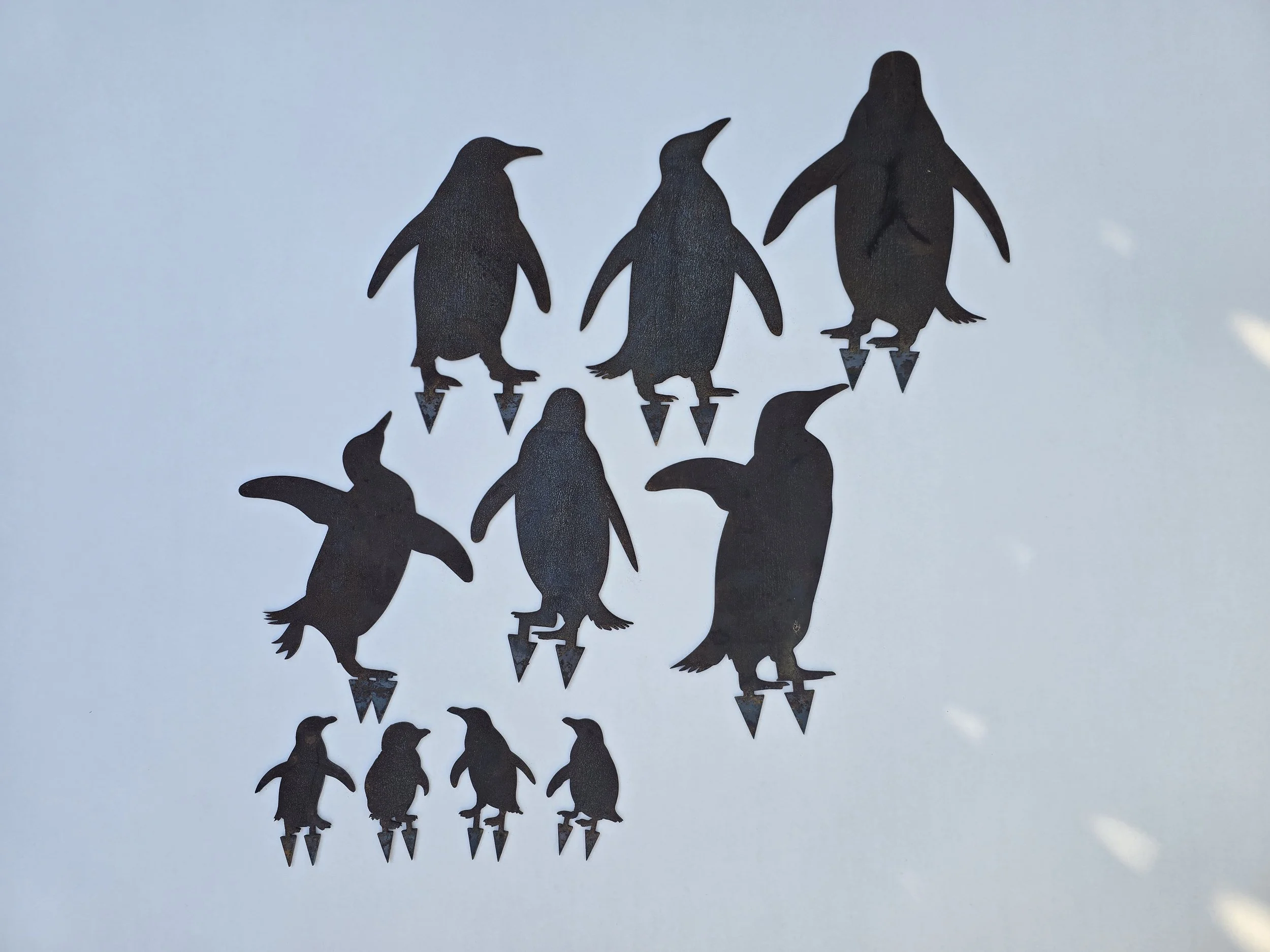 Bulk Penquins - Reduced To Clear