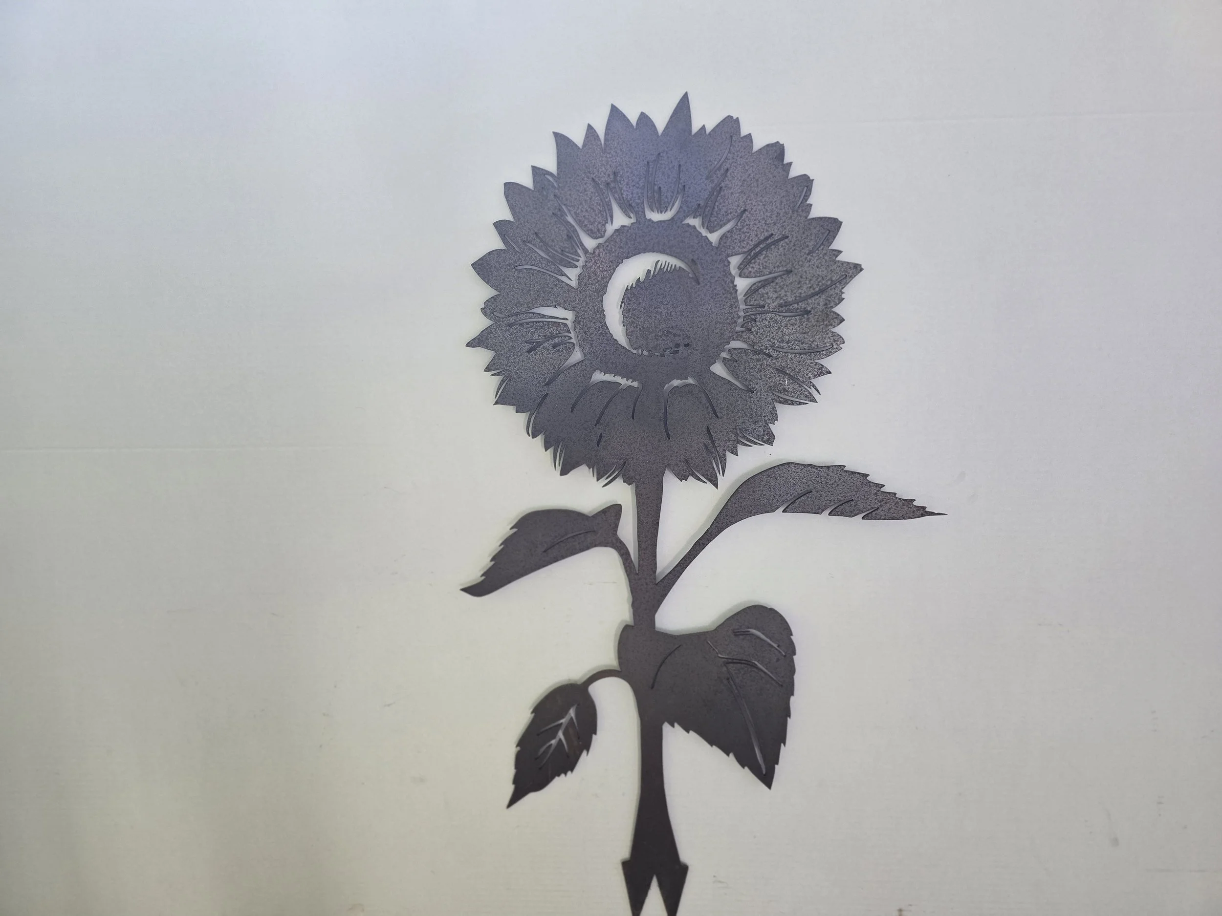 Forever Sunflower - Reduced To Clear