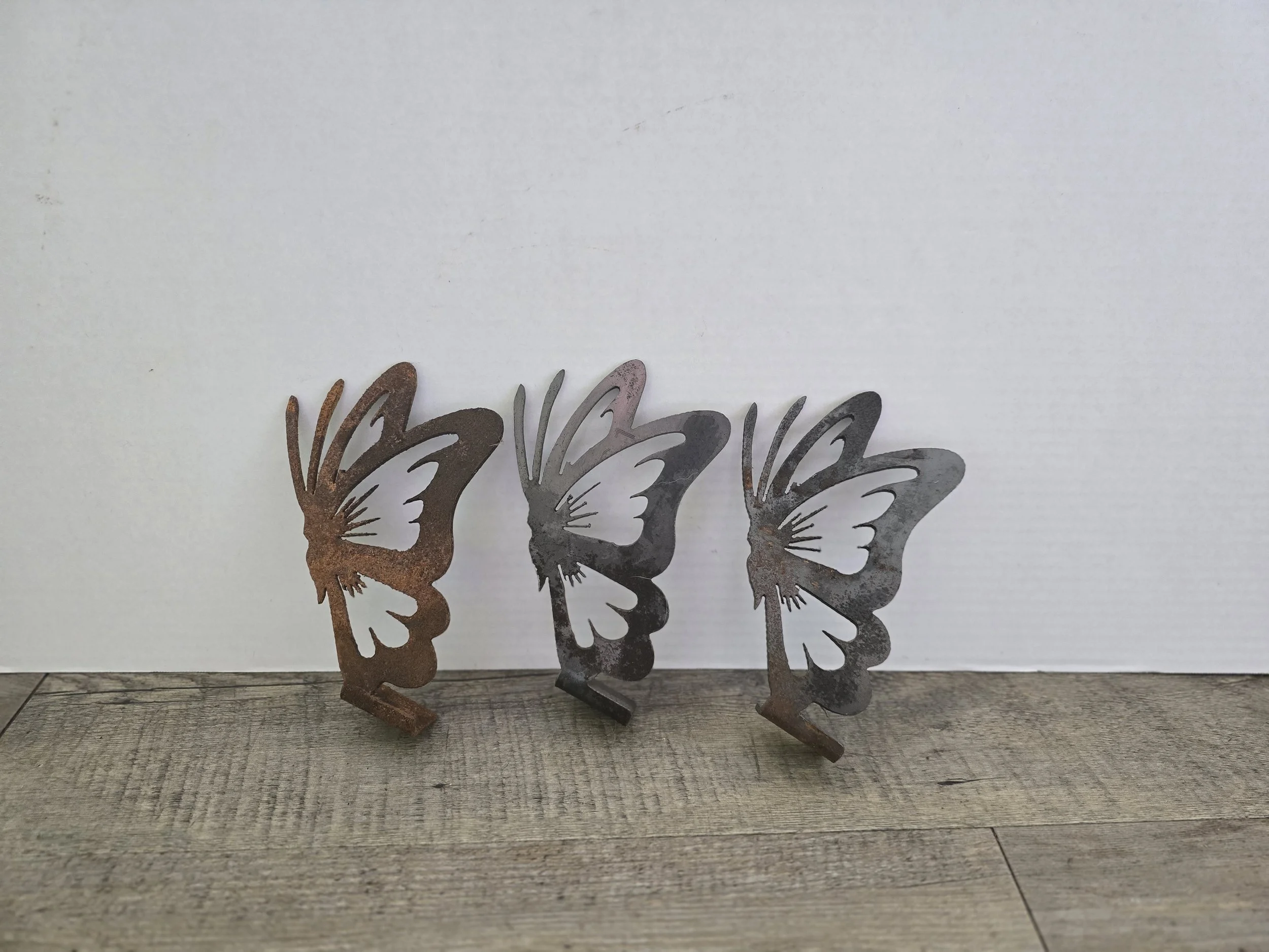 Mounted Butterfly - Reduced To Clear