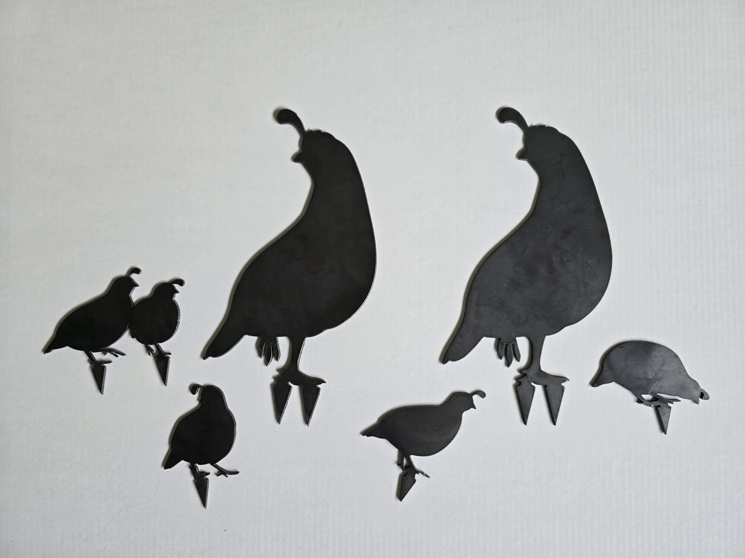 Quail Covey Set - SECOND