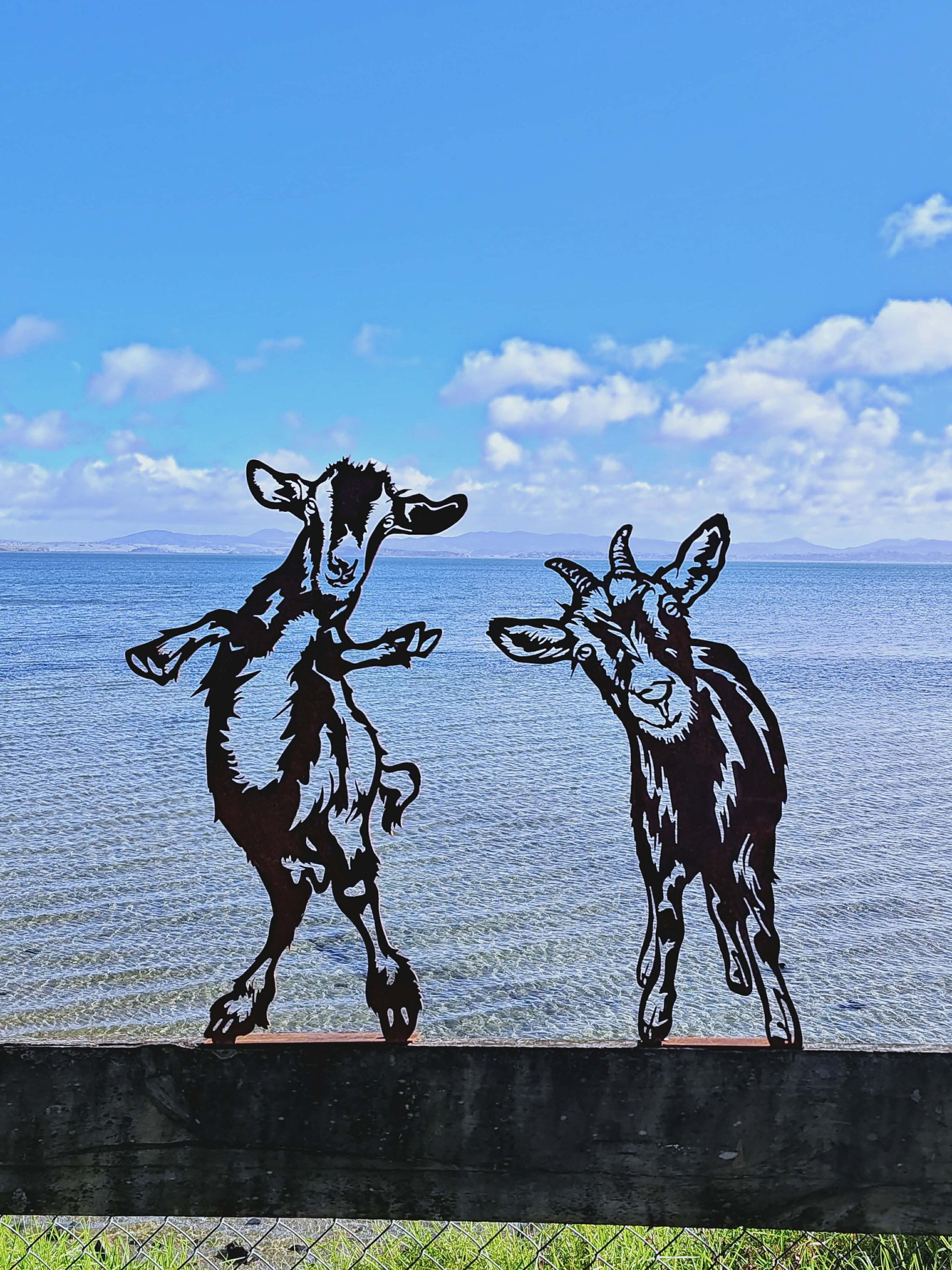 MountedGoatsPortrait.jpg