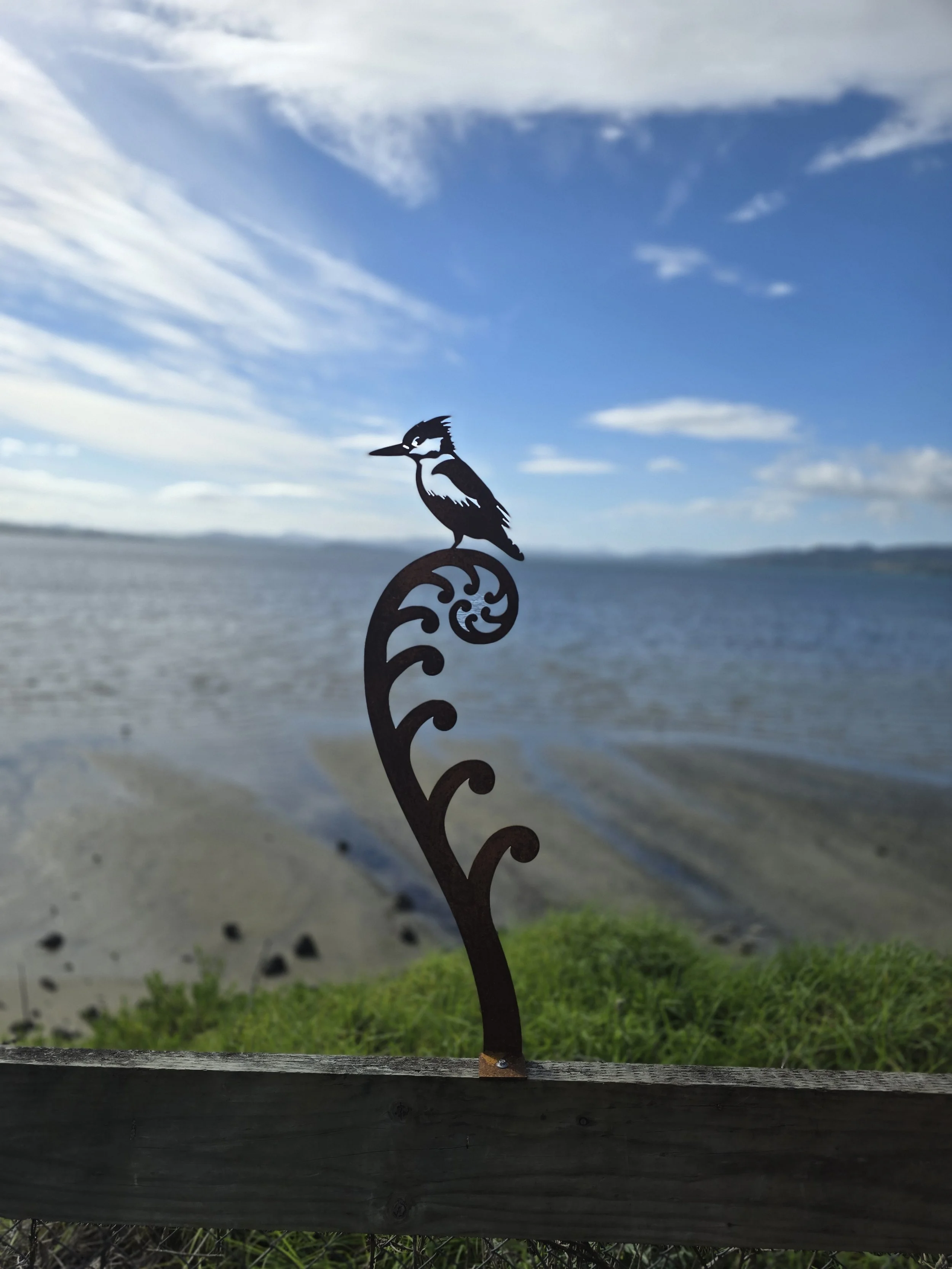 Mounted Kingfisher.jpg