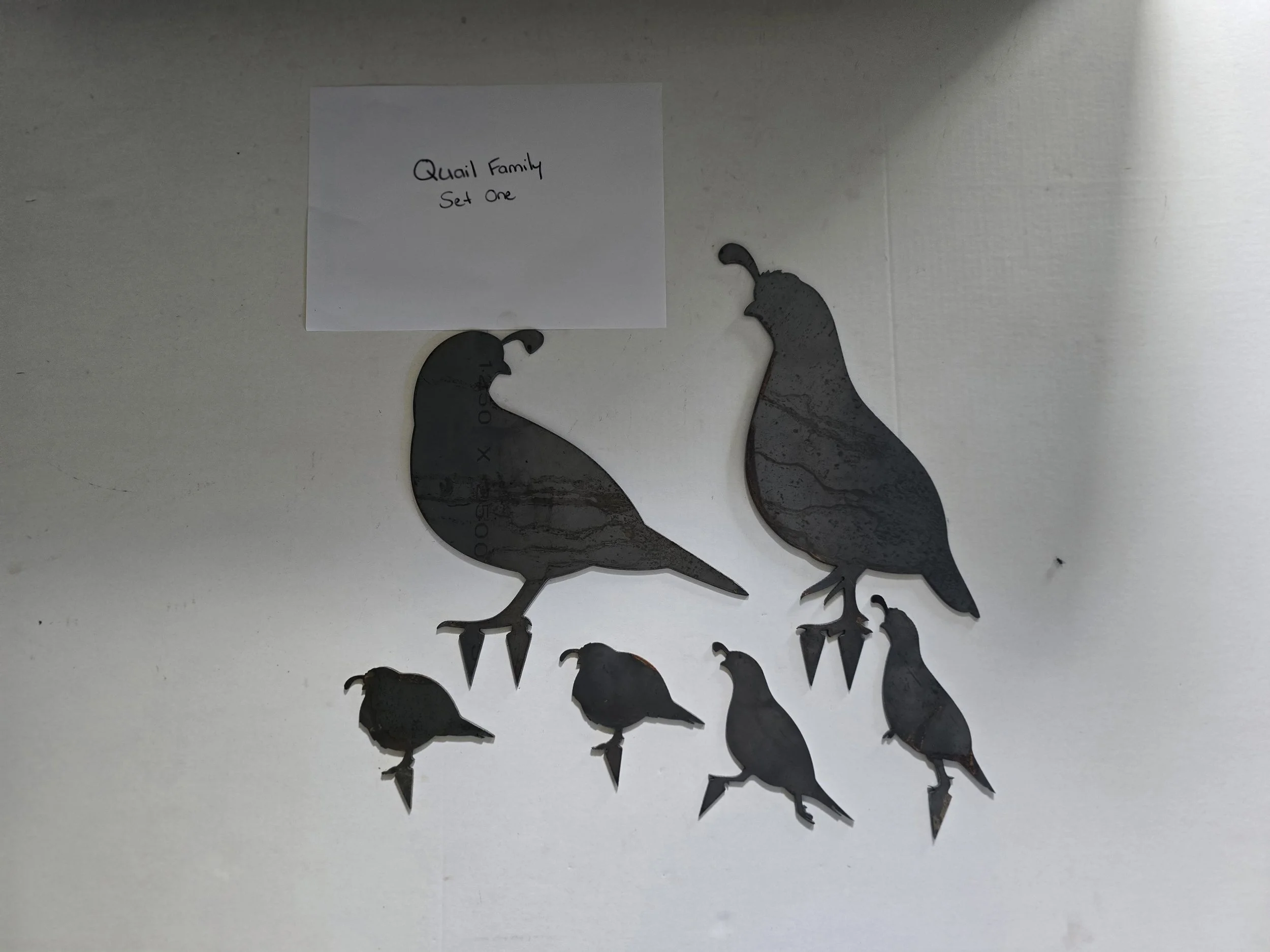 Quail Family - Set One - Reduced To Clear