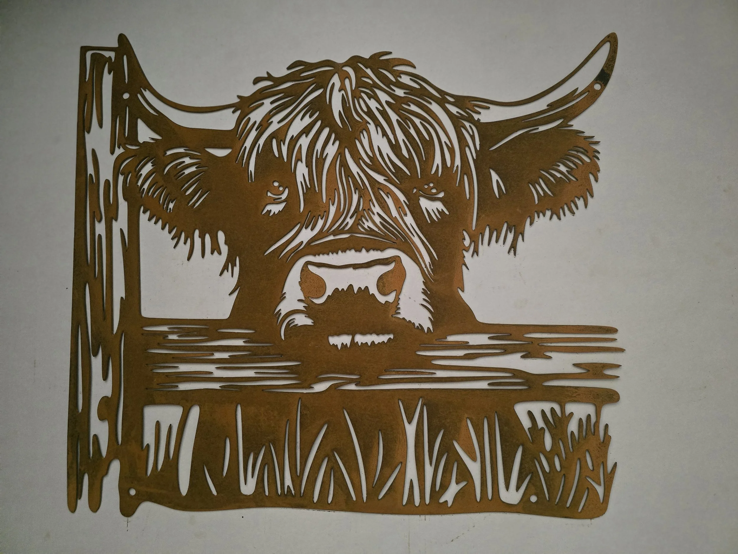 Highland Cow - Reduced To Clear