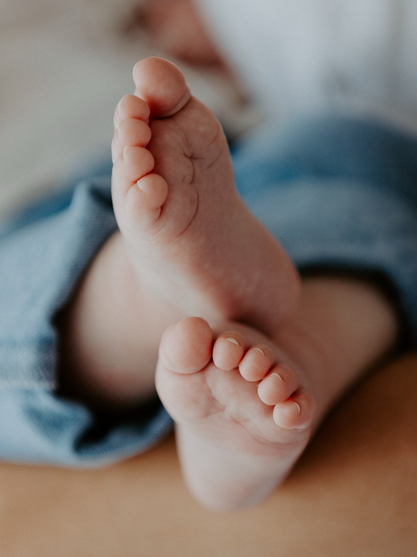 Tiny toes, little fingers, and all the love in between 🤍 The smallest details hold the most treasured memories. 

A special little shoot out of the comfort zone and definitely not one of my standard service offerings, but boy oh boy what a little cu