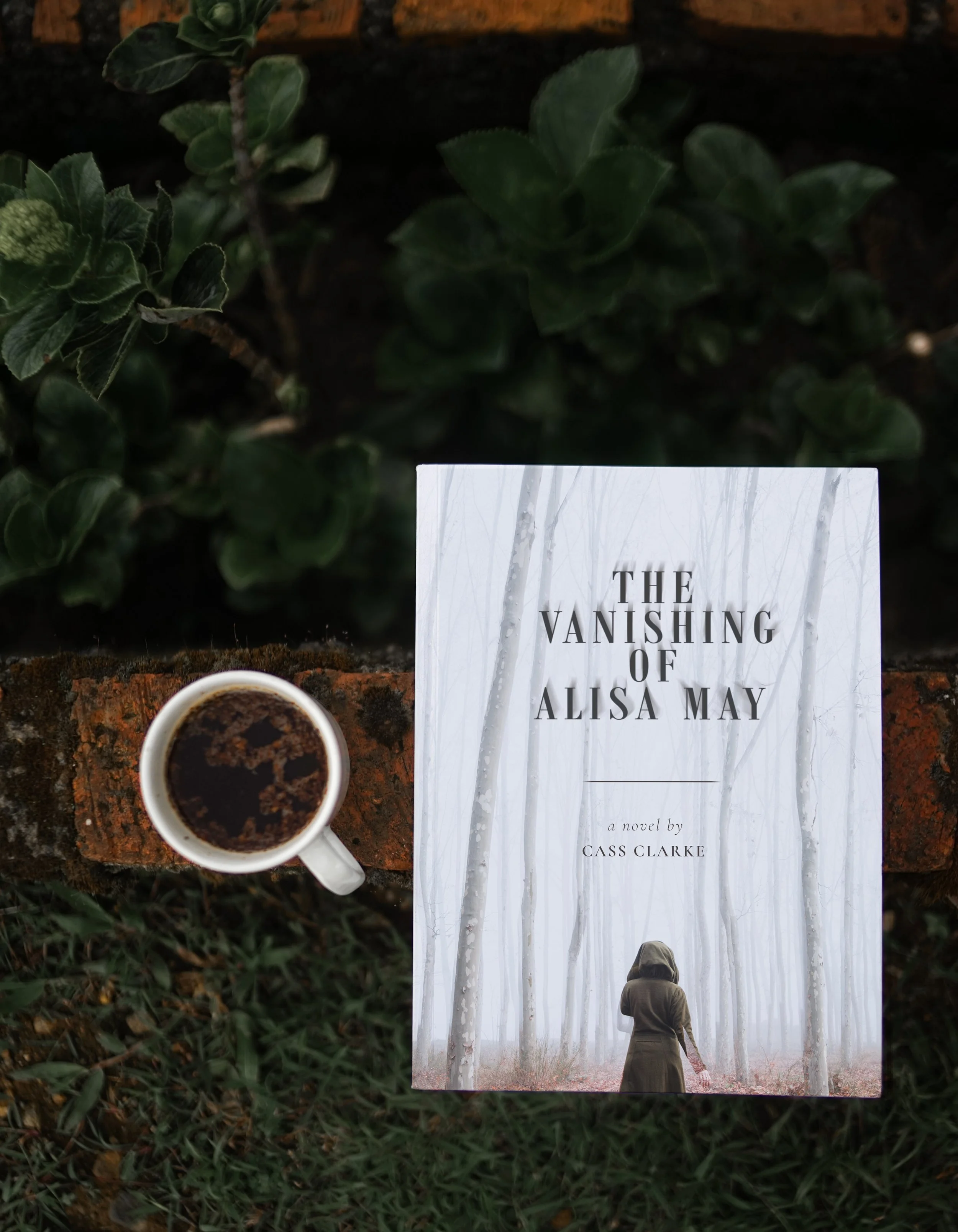 vanishing mock up copy.jpg