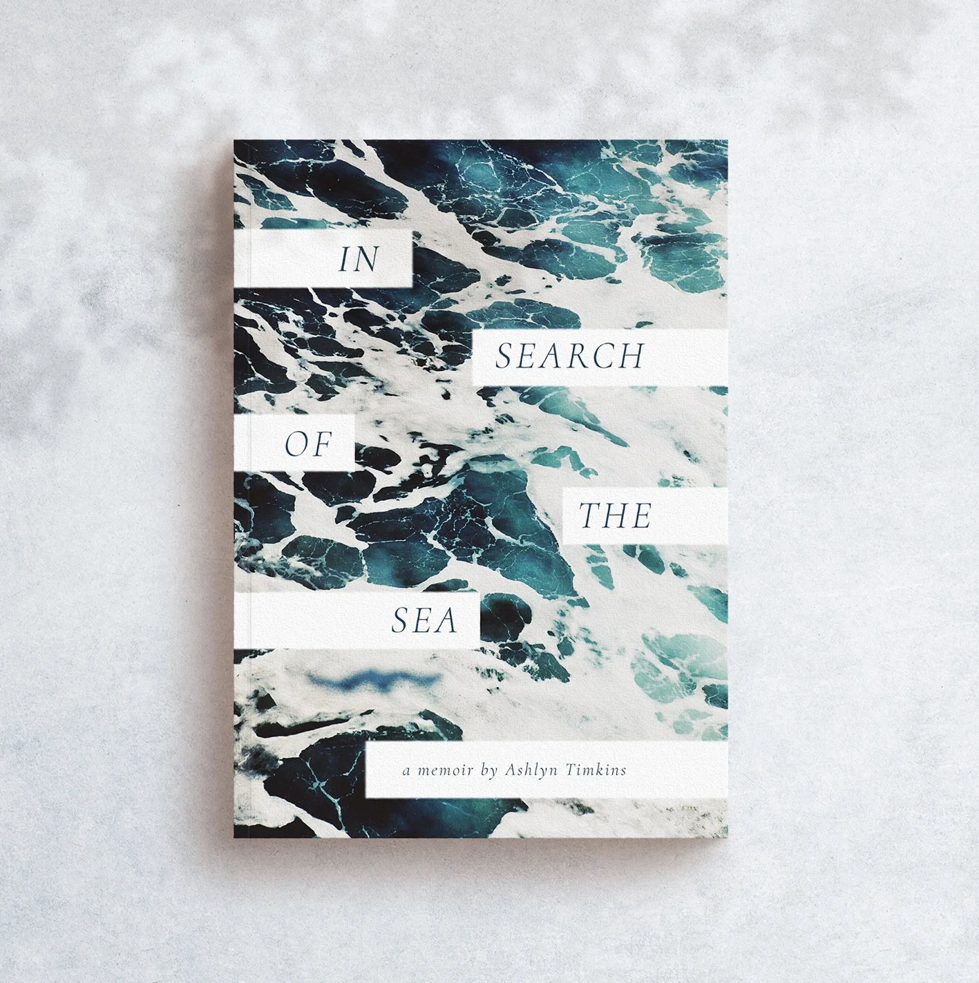 in search of the sea mockup aspect ratio.jpg