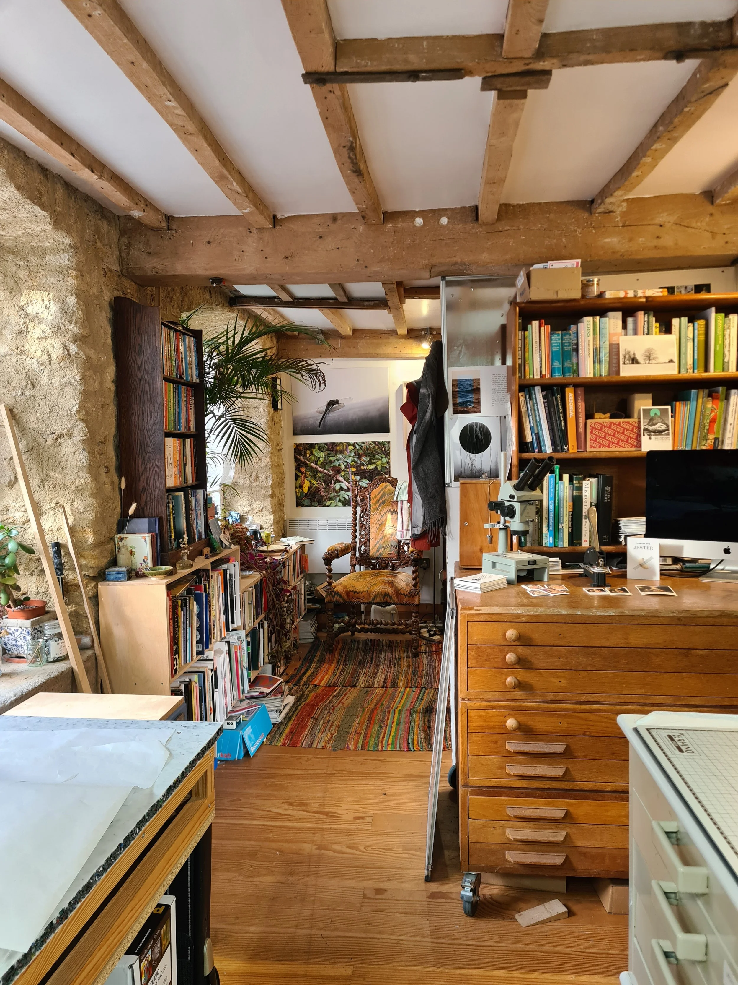 A cozy, rustic home library with wooden beams on the ceiling, stone walls, a bookshelf filled with books, a vintage armchair with patterned upholstery, a small rug, and plants near the window.