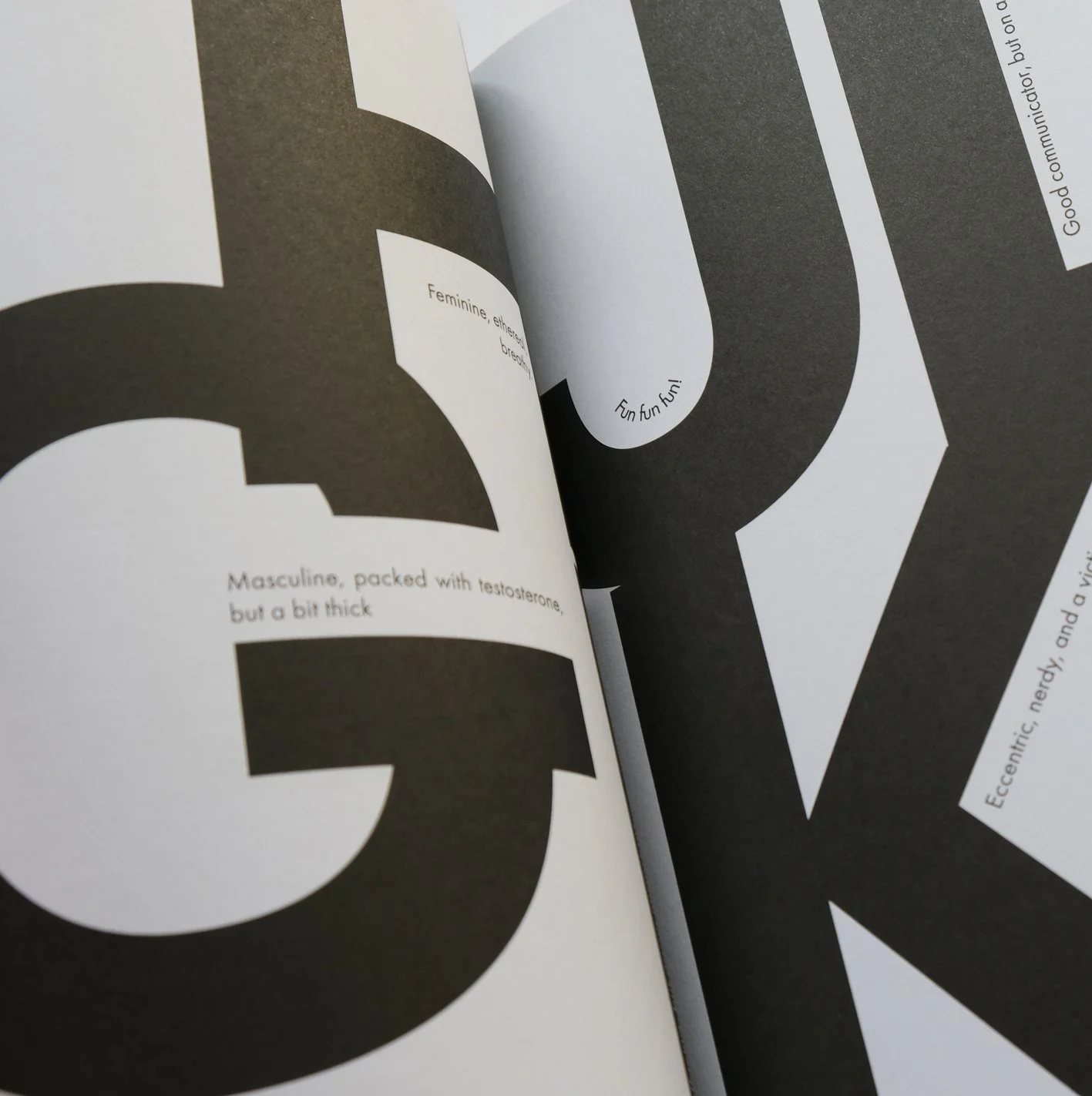 magnum mopus interior.jpg