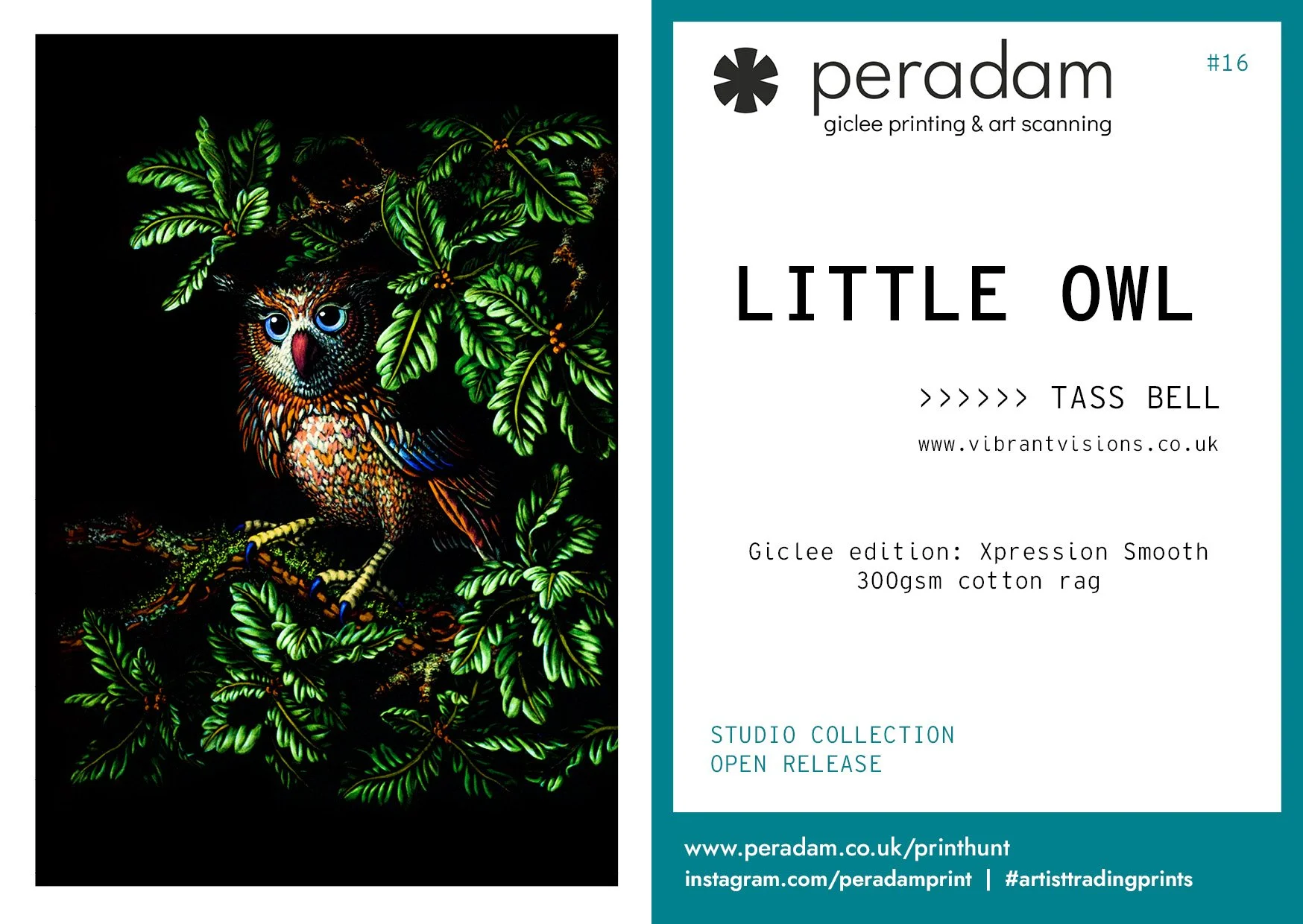trading cards A6 no lines6.jpg