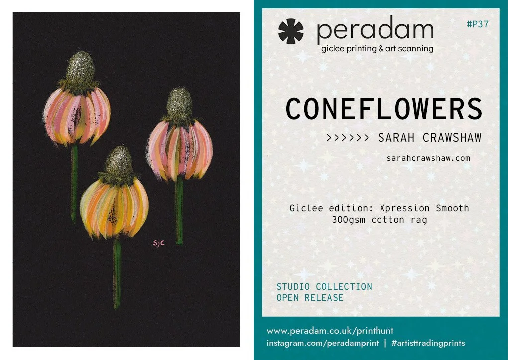 parallels vol 27.jpg