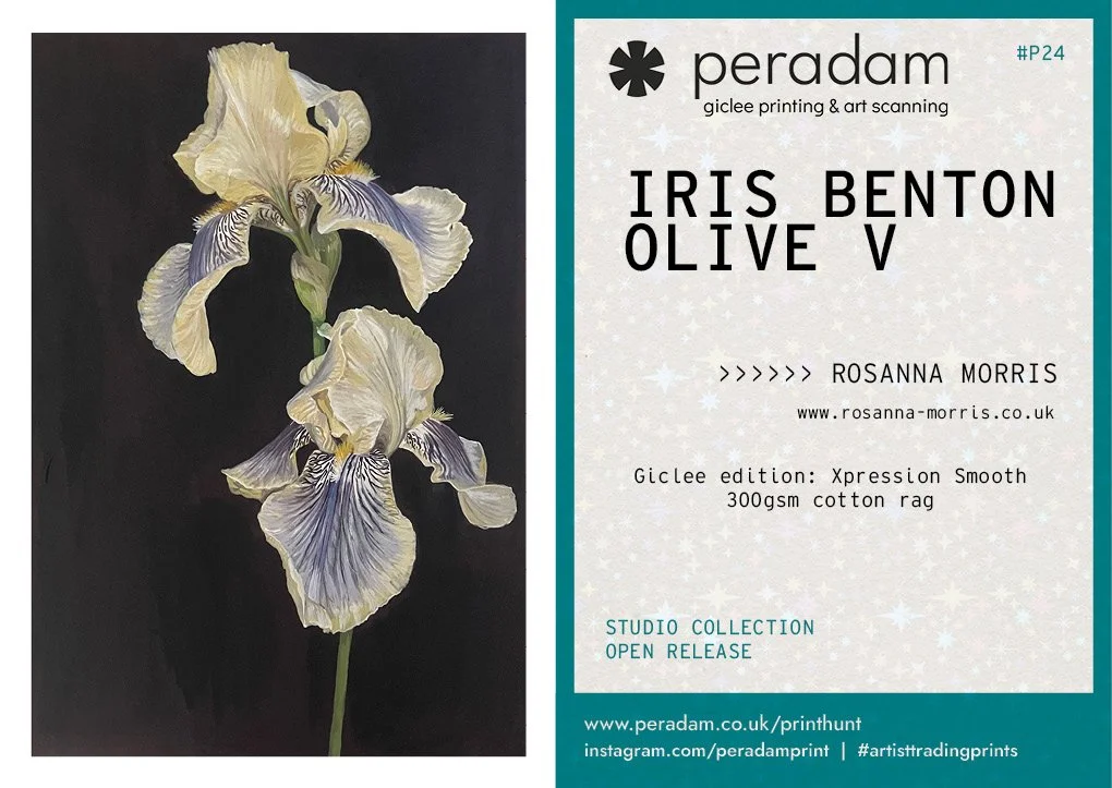 parallels vol 114.jpg