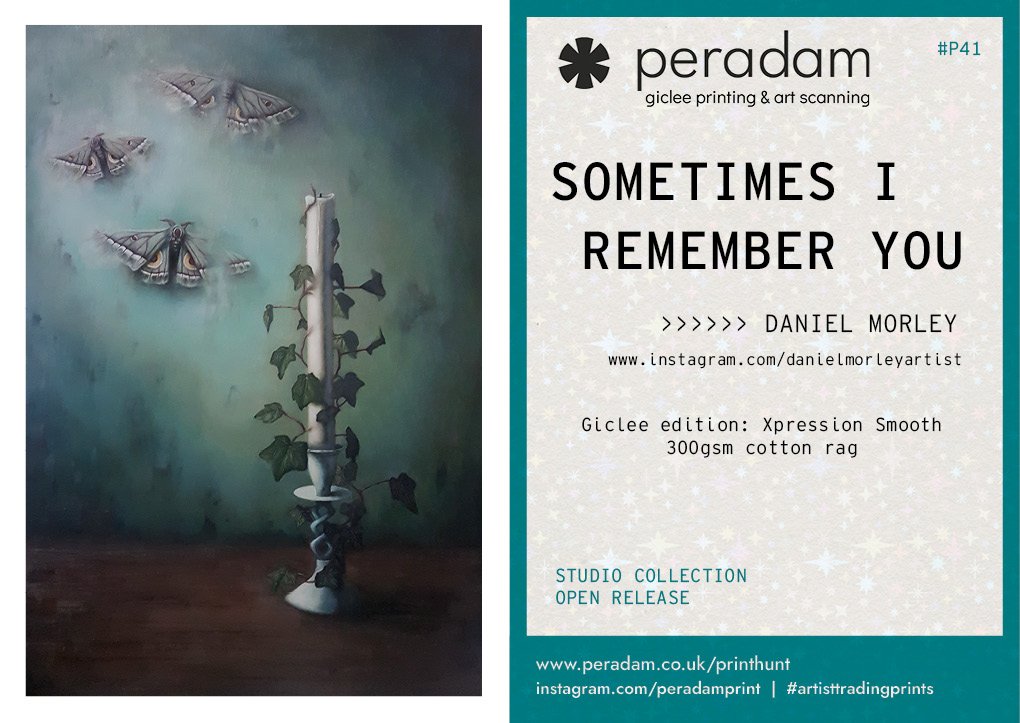 parallels vol 211.jpg