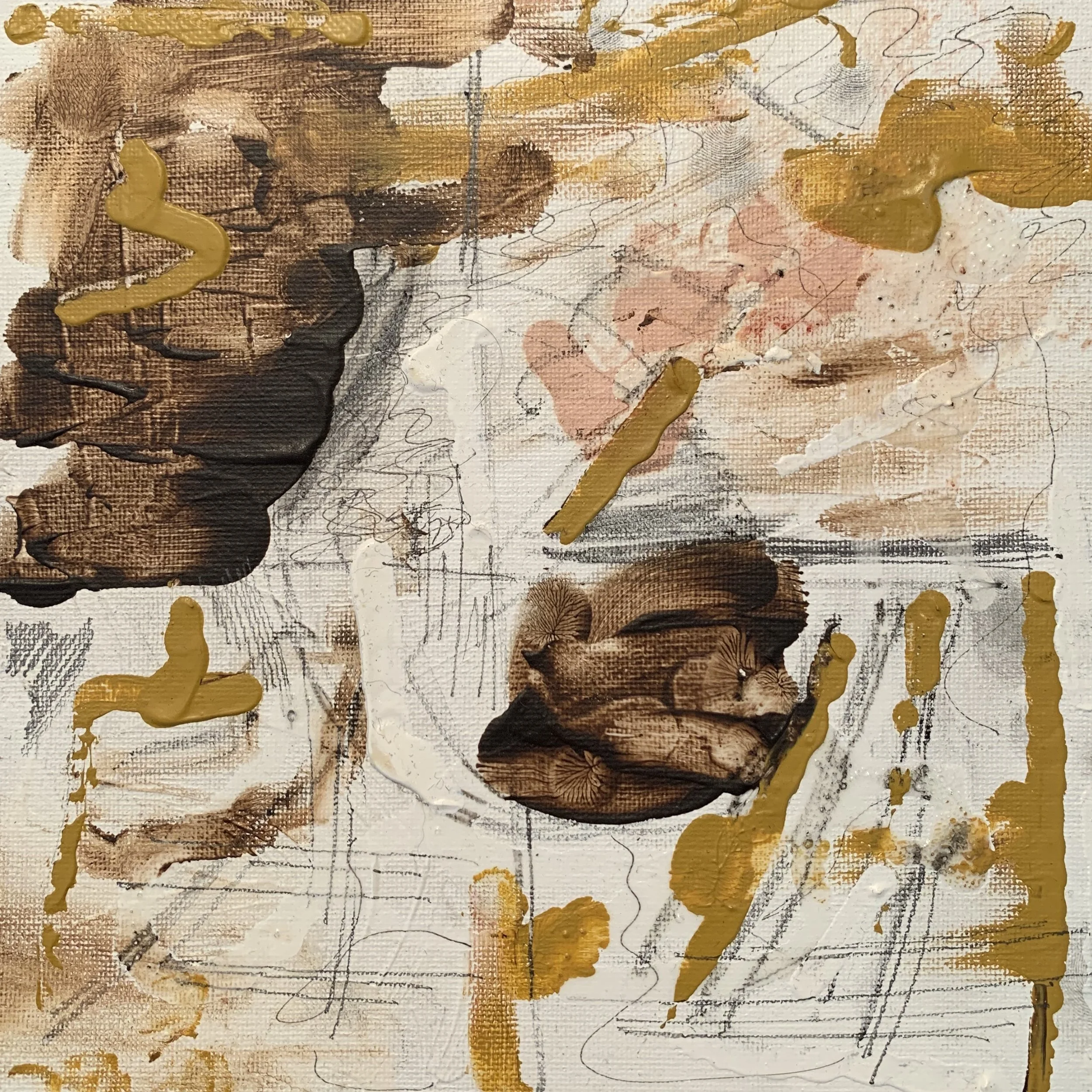 What We Had To Work With XV