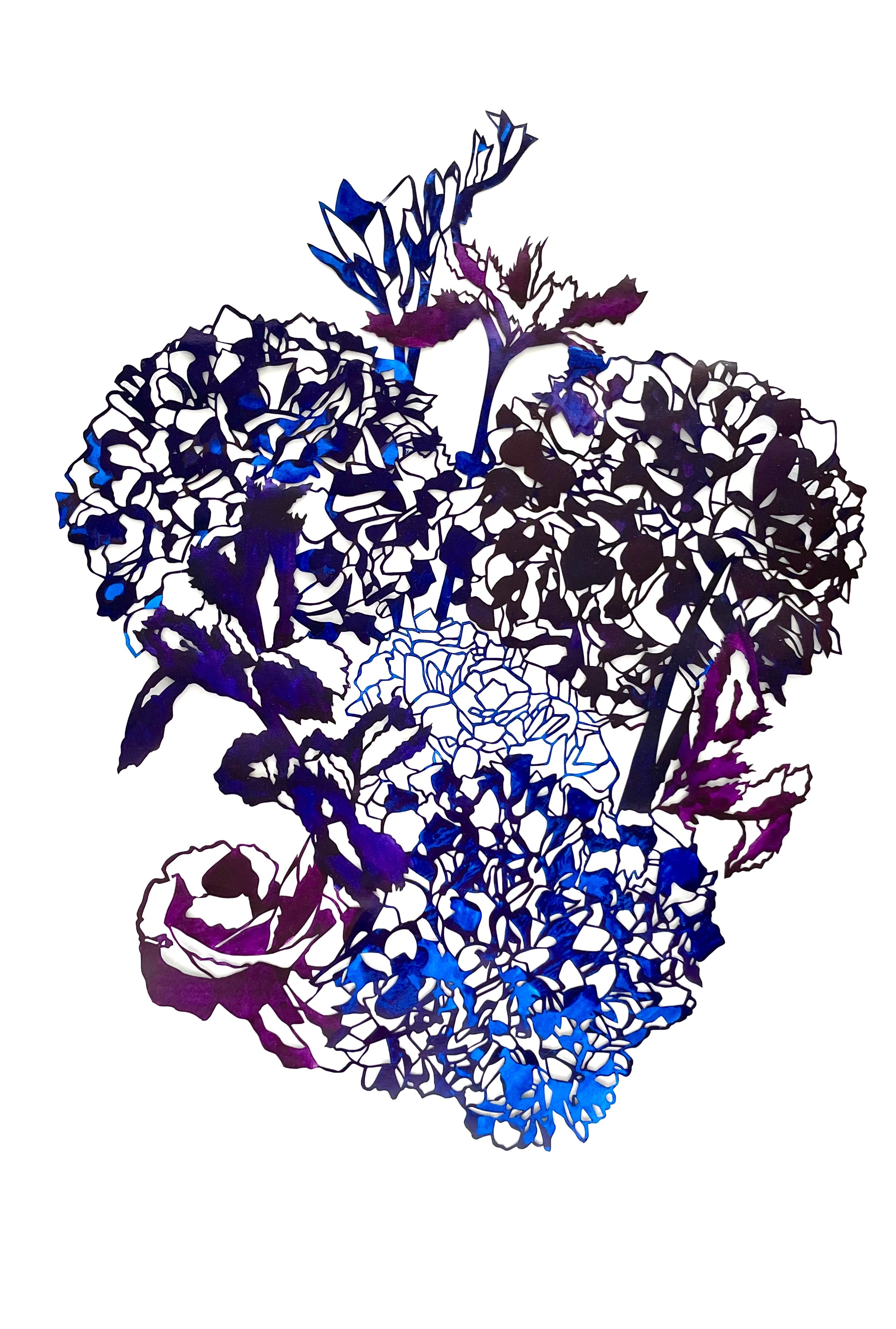 Hortensia #1, 2023