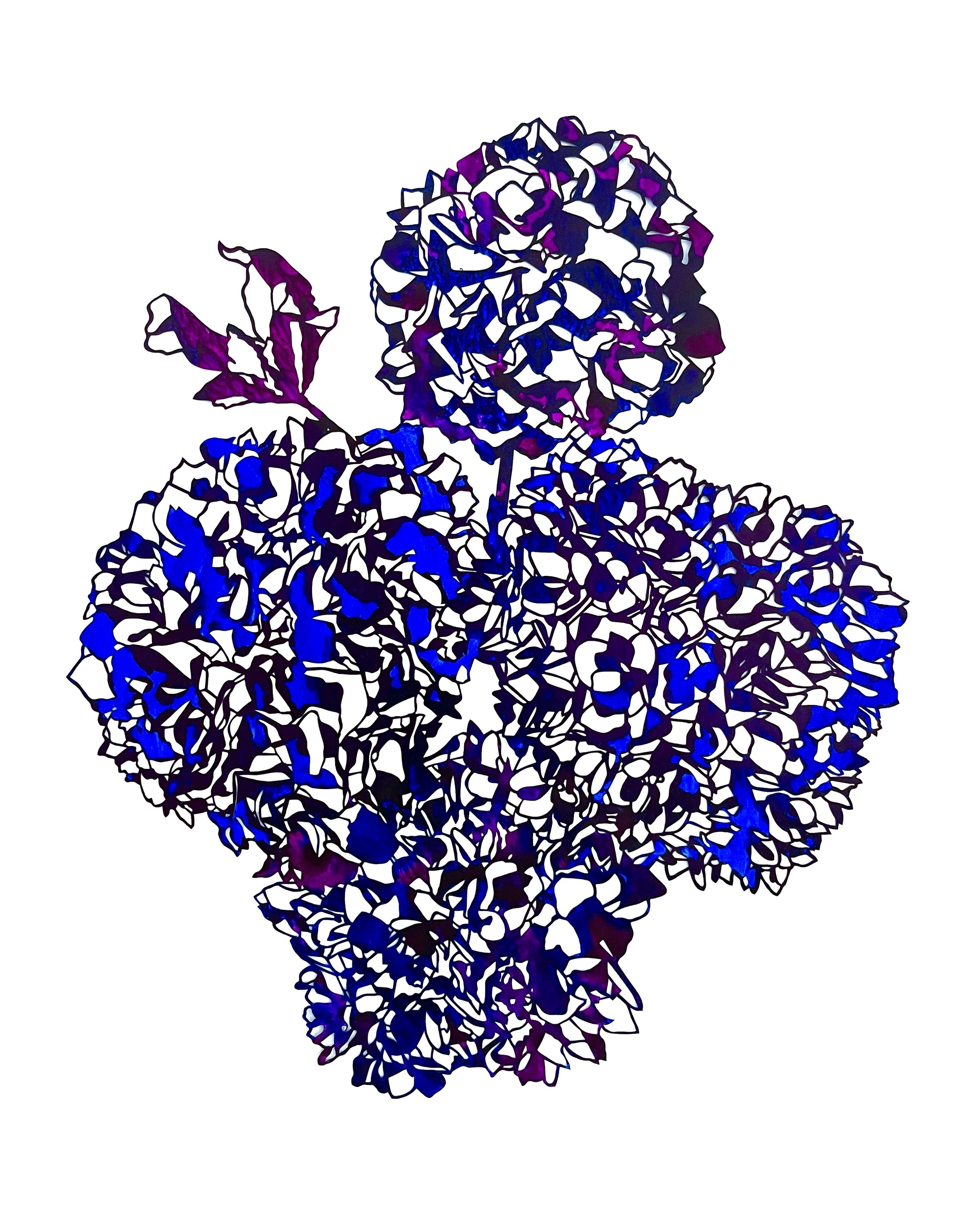 Hortensia #2, 2023