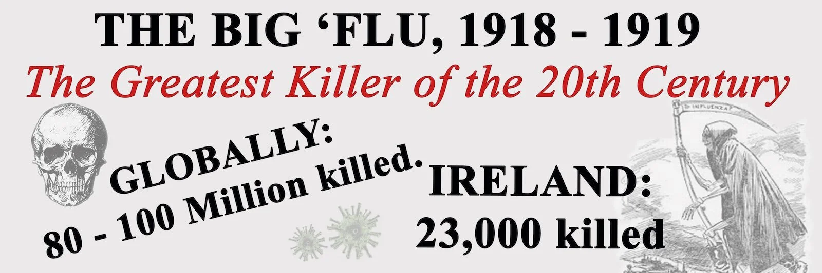 BIG-FLU-BANNER.jpg