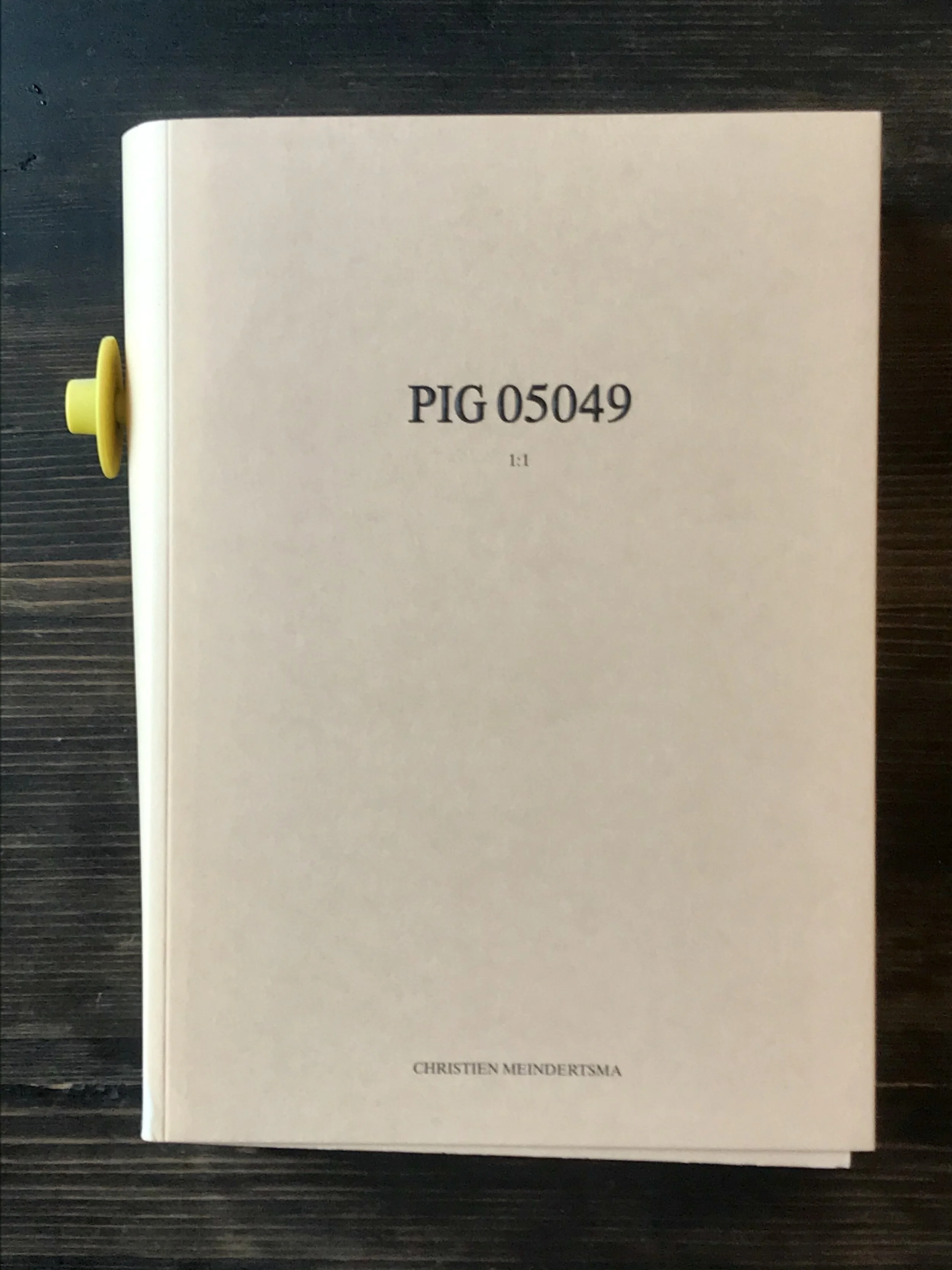 MEINDERTSMA. Pig 05049. — RAREPHOTOBOOKS