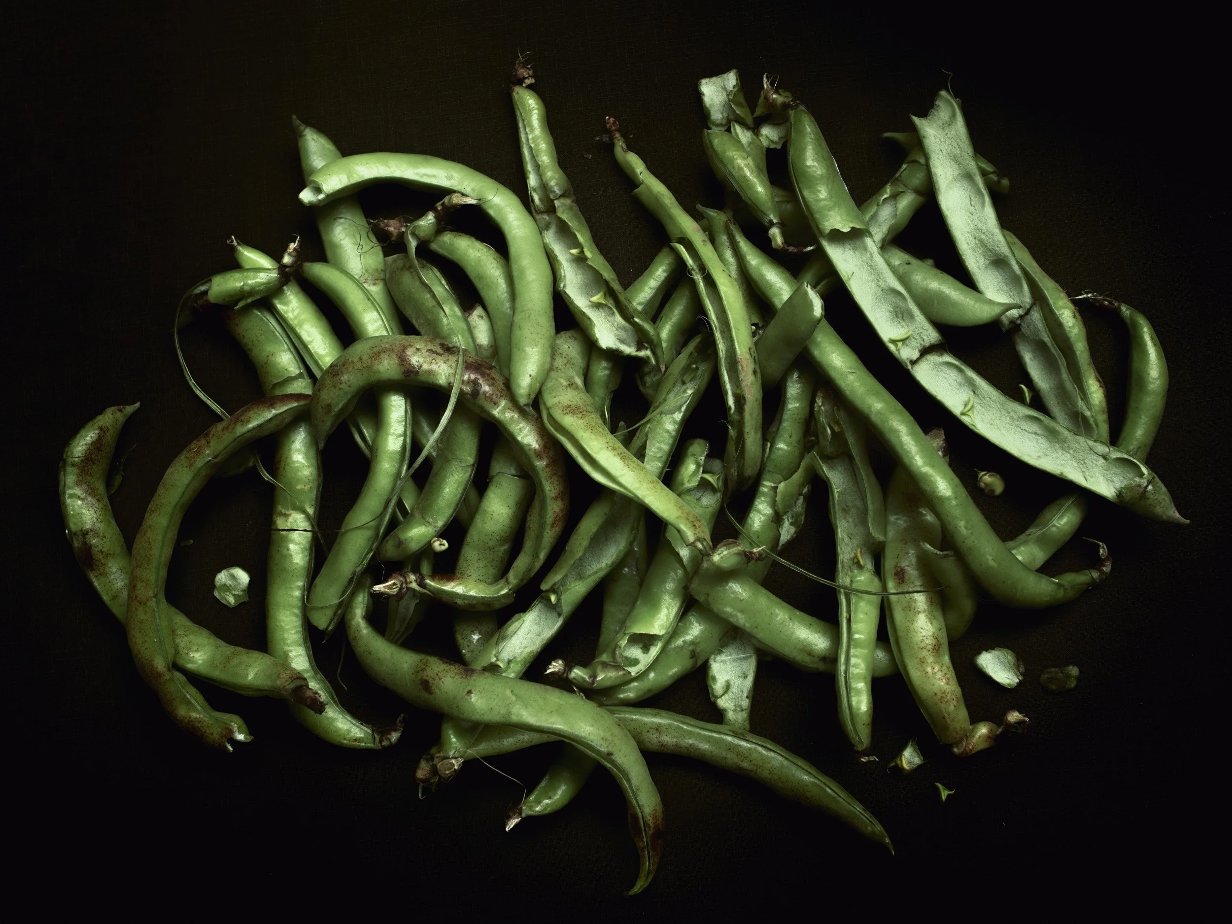 Broad-bean-husks_086_MASTER-NEW.jpg