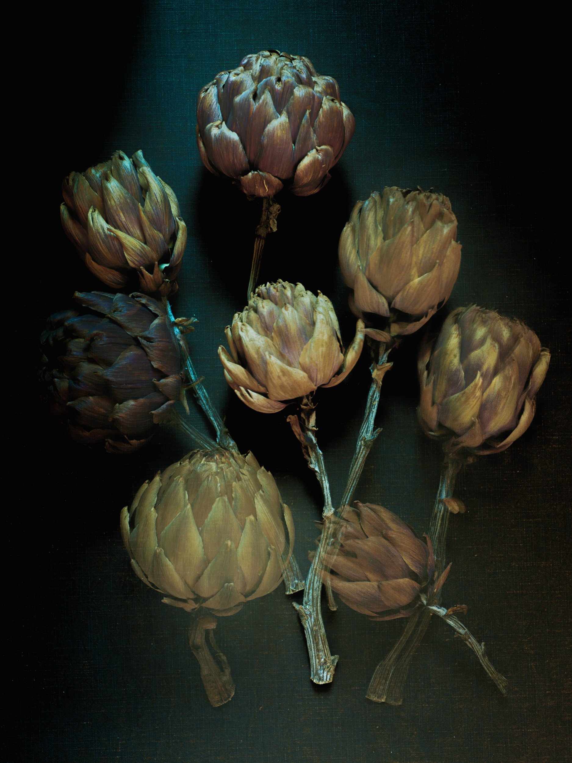 _DSC5473_DRIED-ARTICHOKES_Edit-12.07.22_MASTER-NEW.jpg