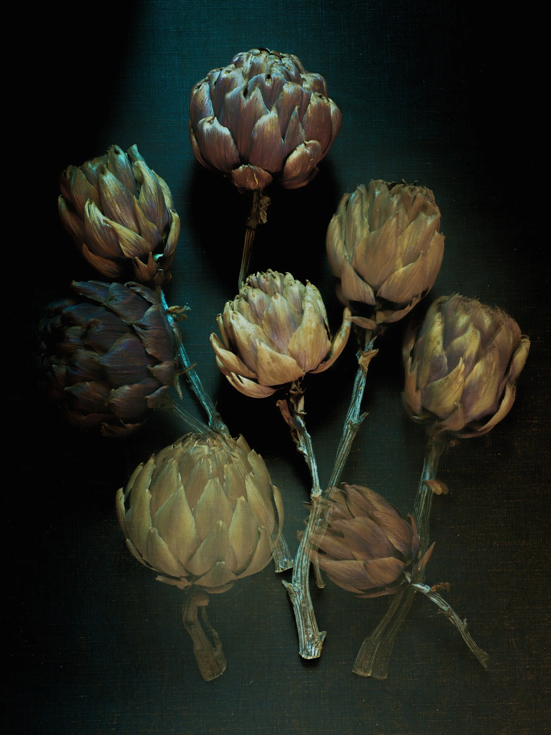 _DSC5473_DRIED-ARTICHOKES_Edit-12.07.22_MASTER-NEW.jpg