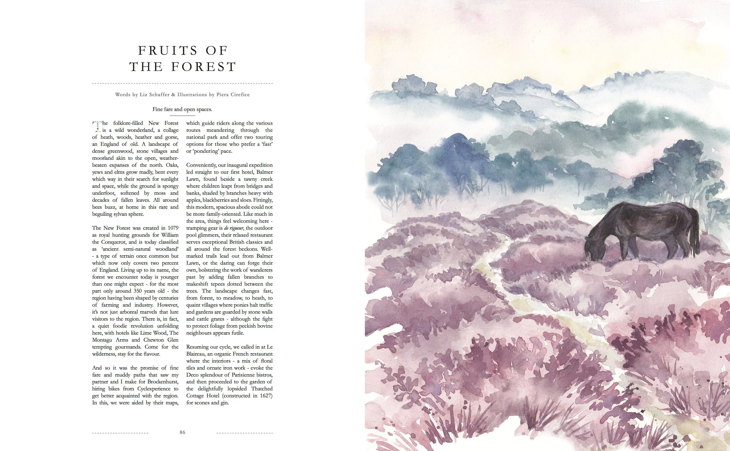 FRUITS-OF-THE-FOREST-1.jpg