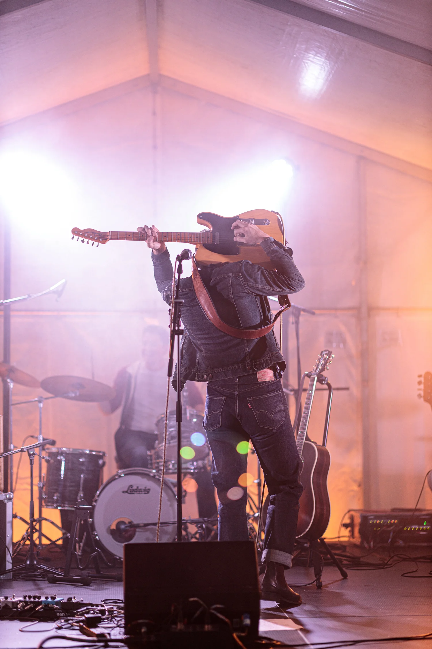 The Bluejays - Image 5