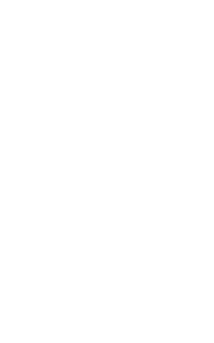 NLF-III.png