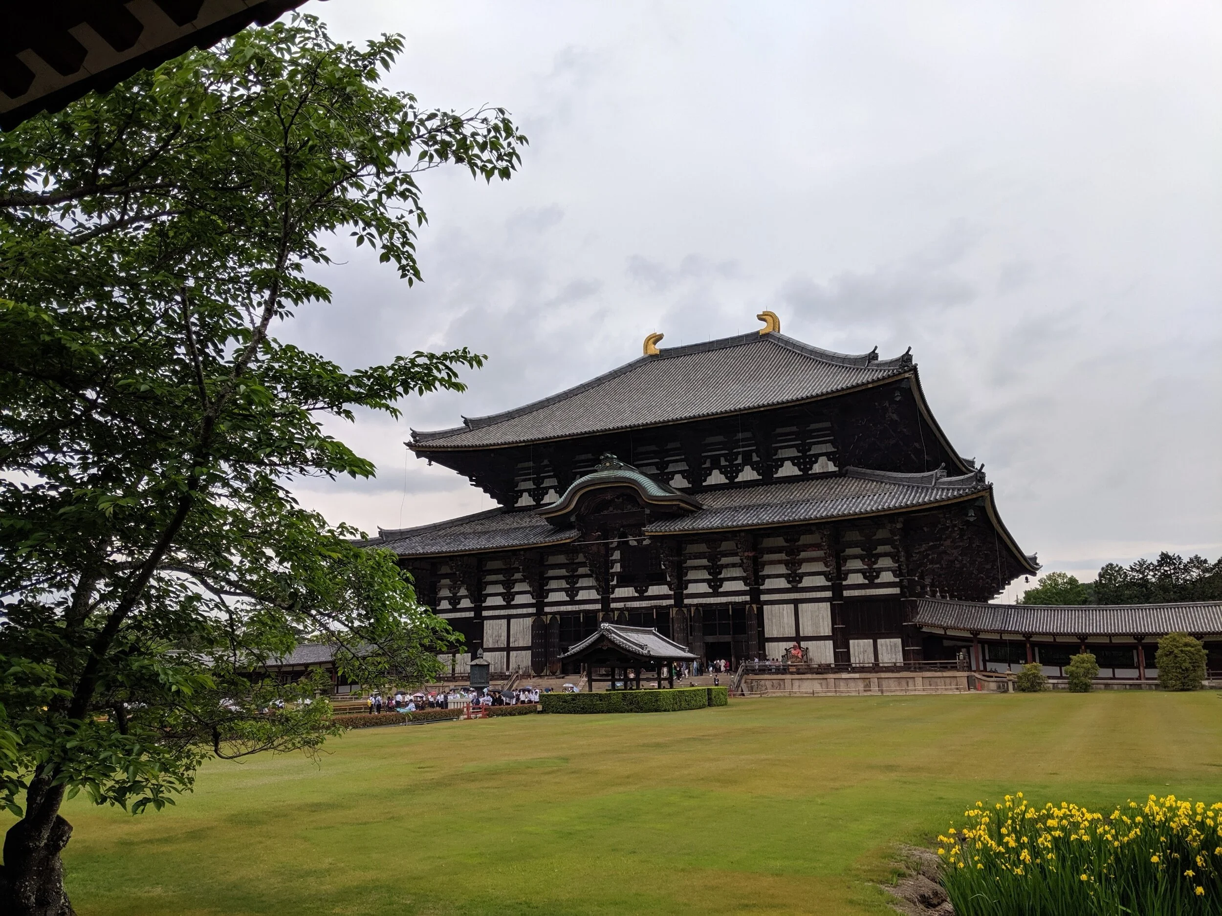 processed_IMG_20190514_150721.jpg