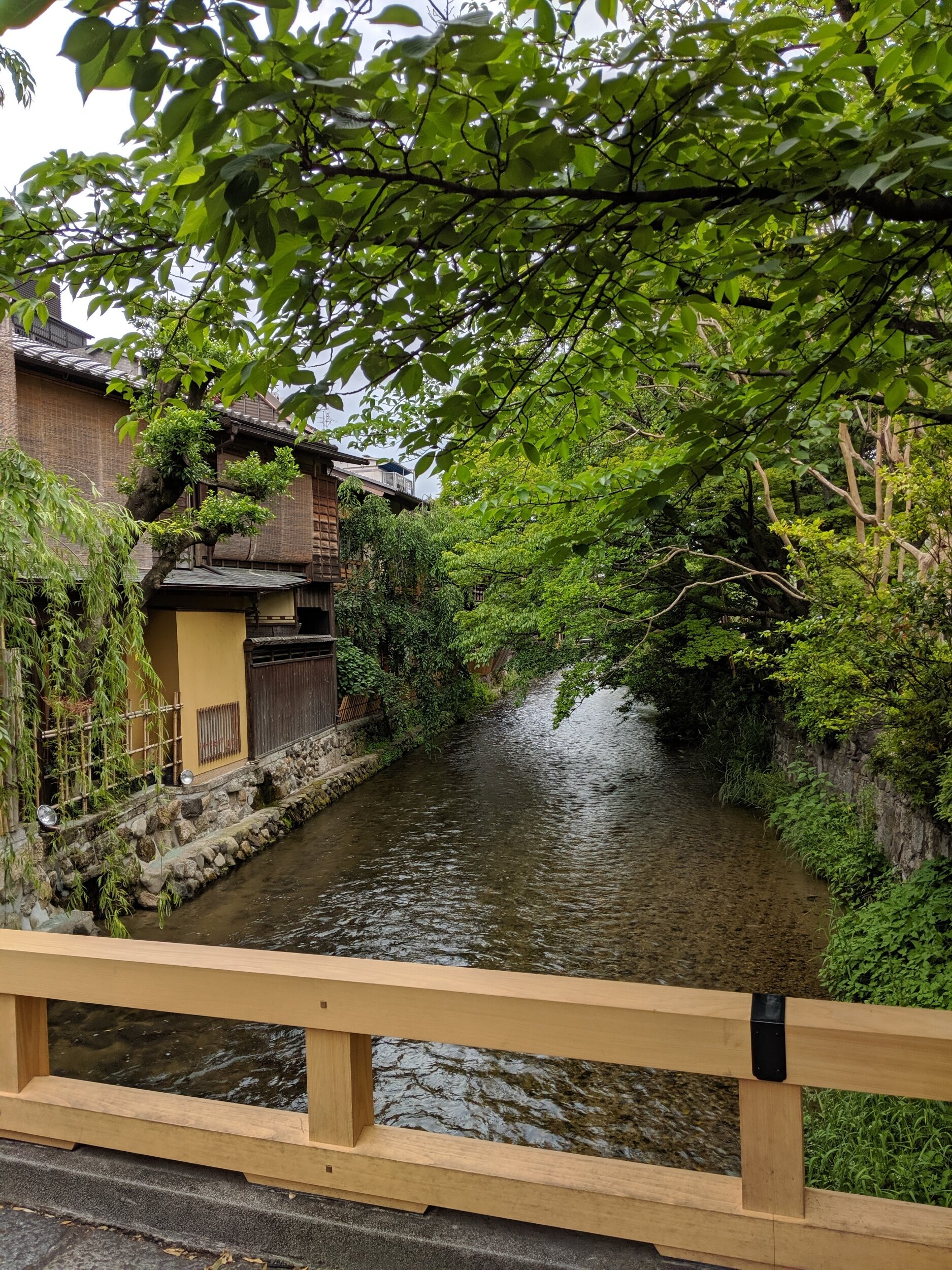 processed_IMG_20190518_154231.jpg