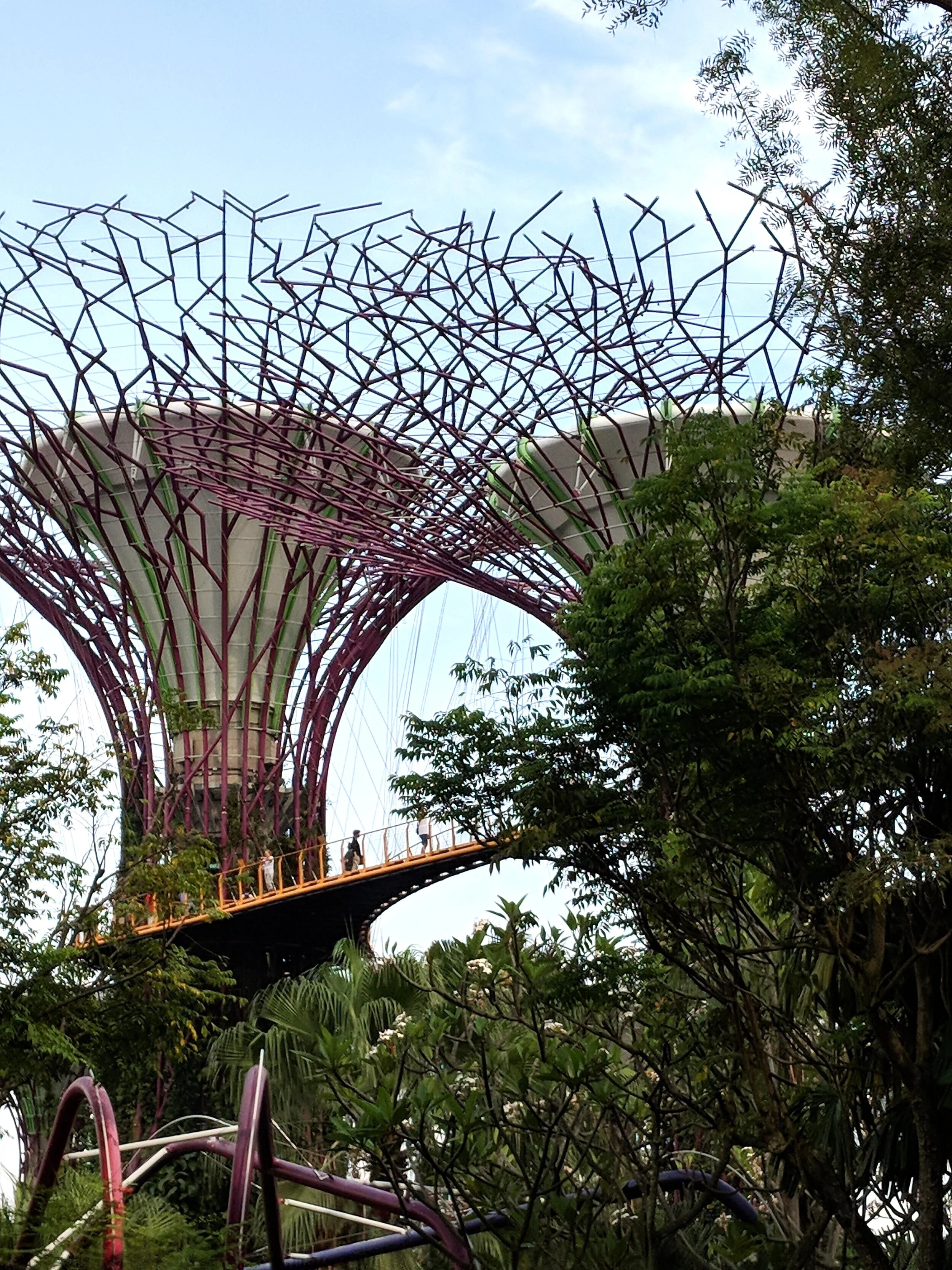 Garden By The Bay - Supertree Observatory