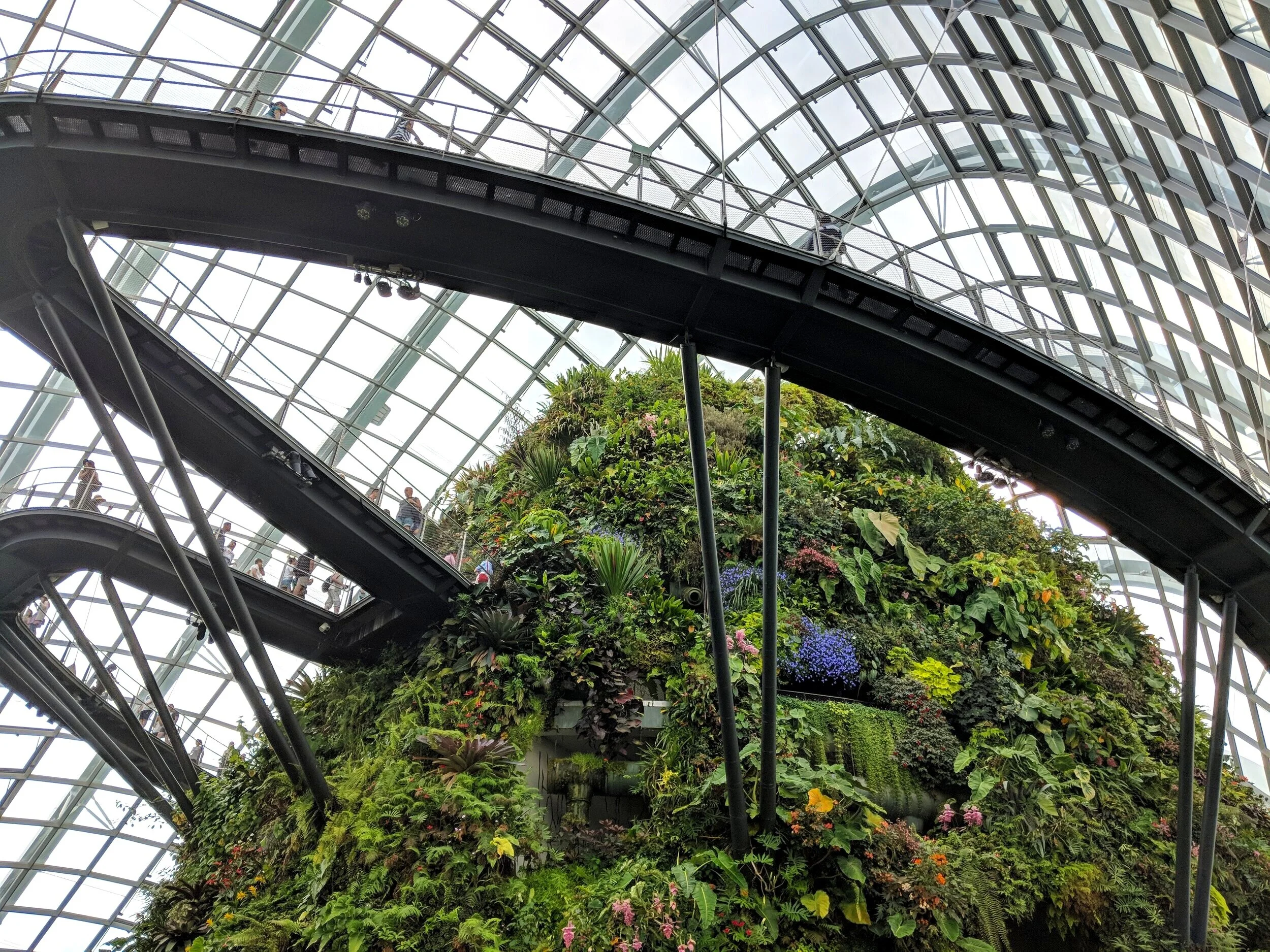 Garden By The Bay - Cloud Forest