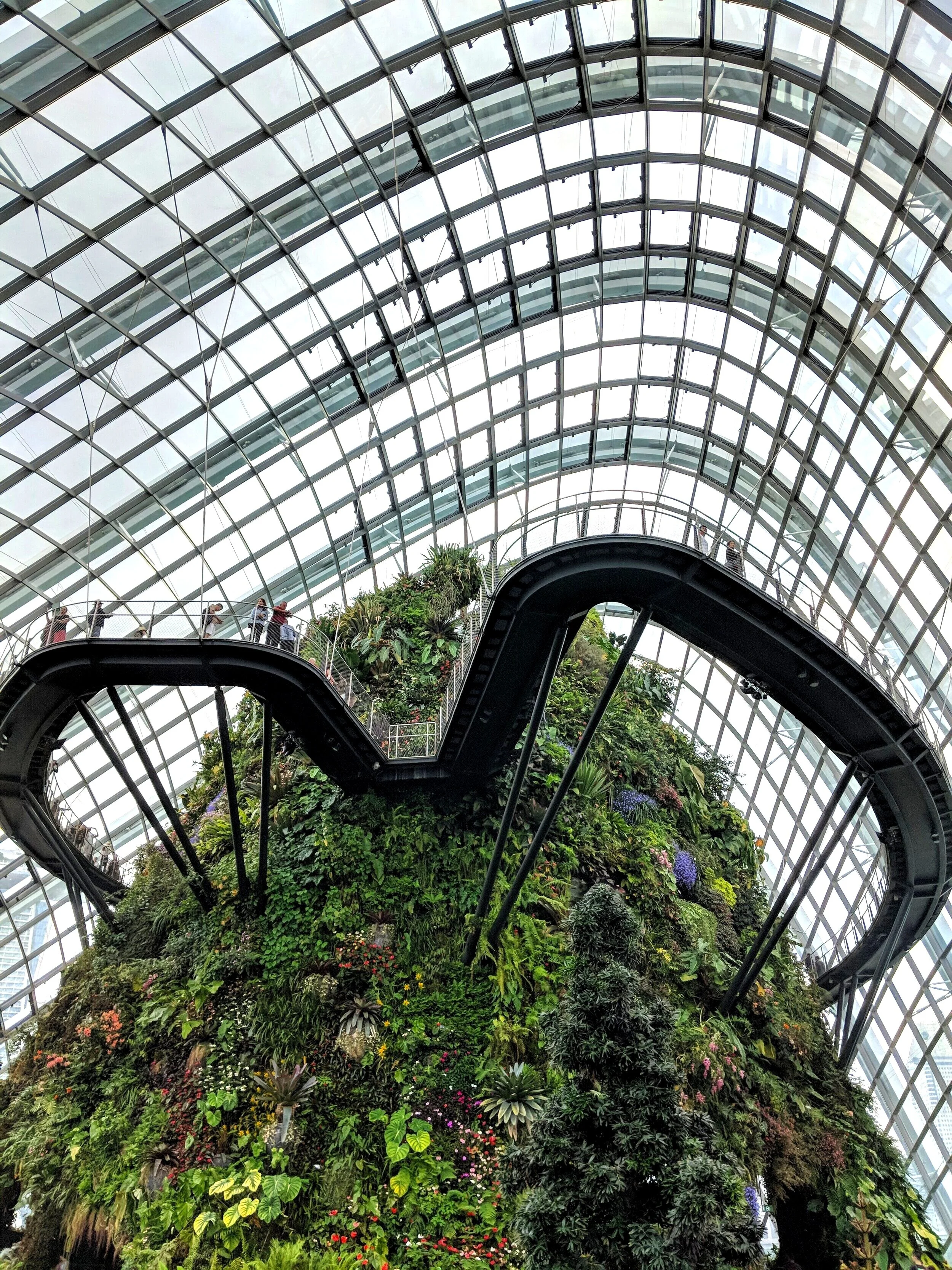 Garden By The Bay - Cloud Forest