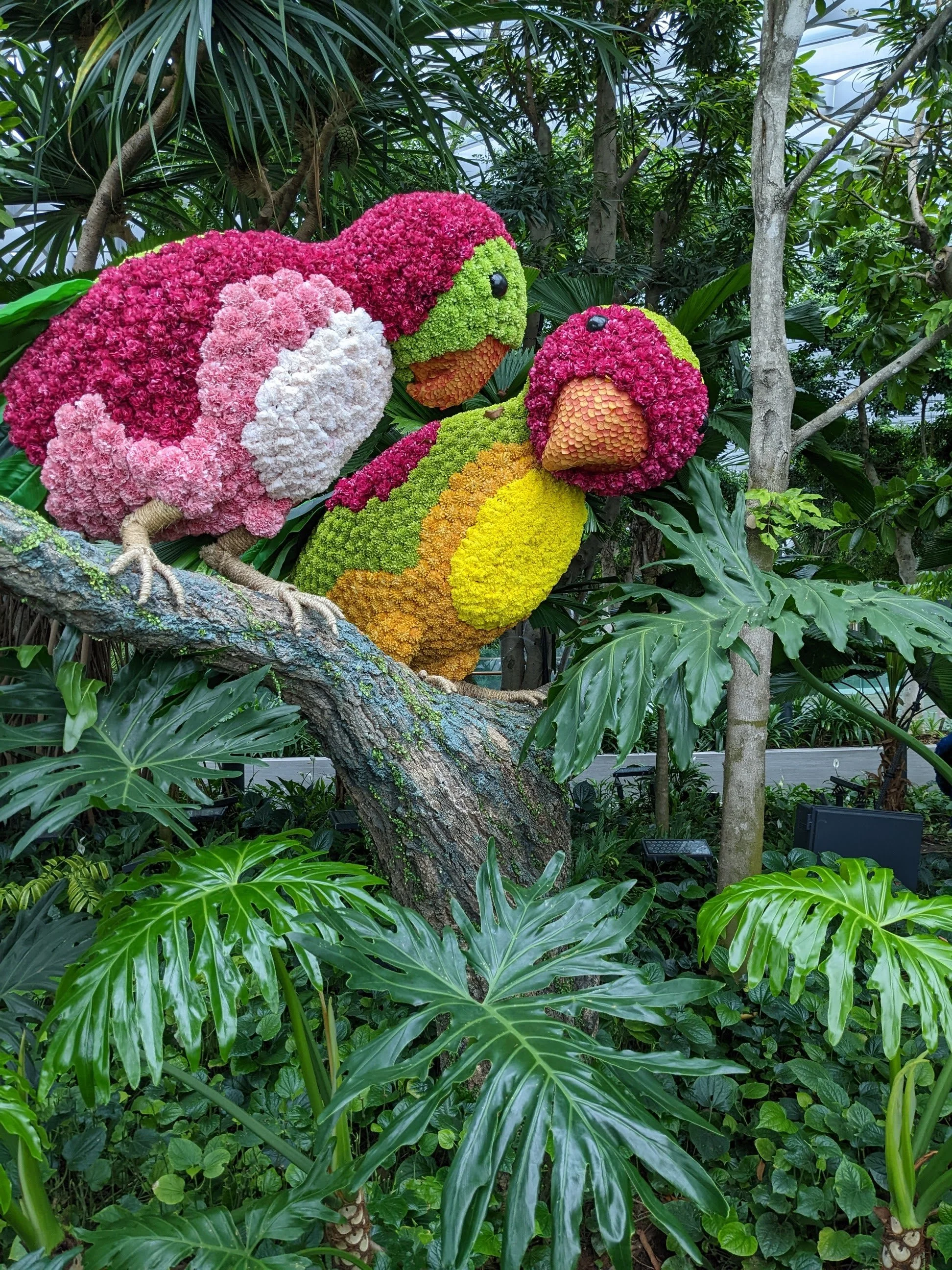 Singapore Airport - The Jewel Terminal Garden