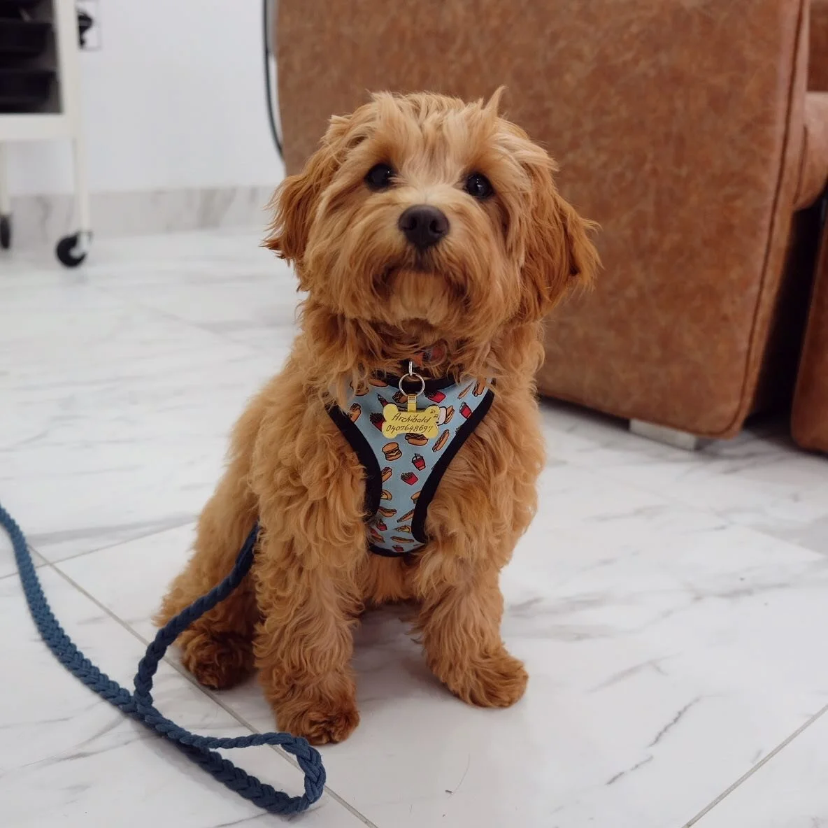 Gallery — The Beauty Bar Dee Why