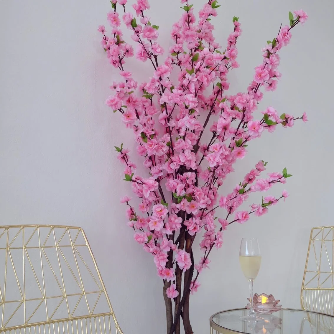 Gallery — The Beauty Bar Dee Why