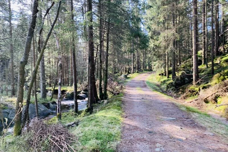 RAUÅNA&nbsp;LINDEKLEIV