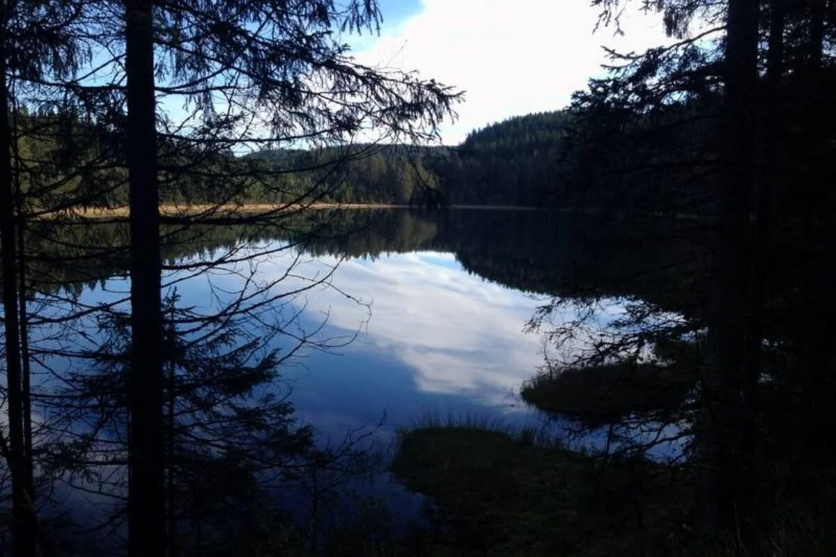 DEN&nbsp;GAMLE&nbsp;FERDSELSVEIEN