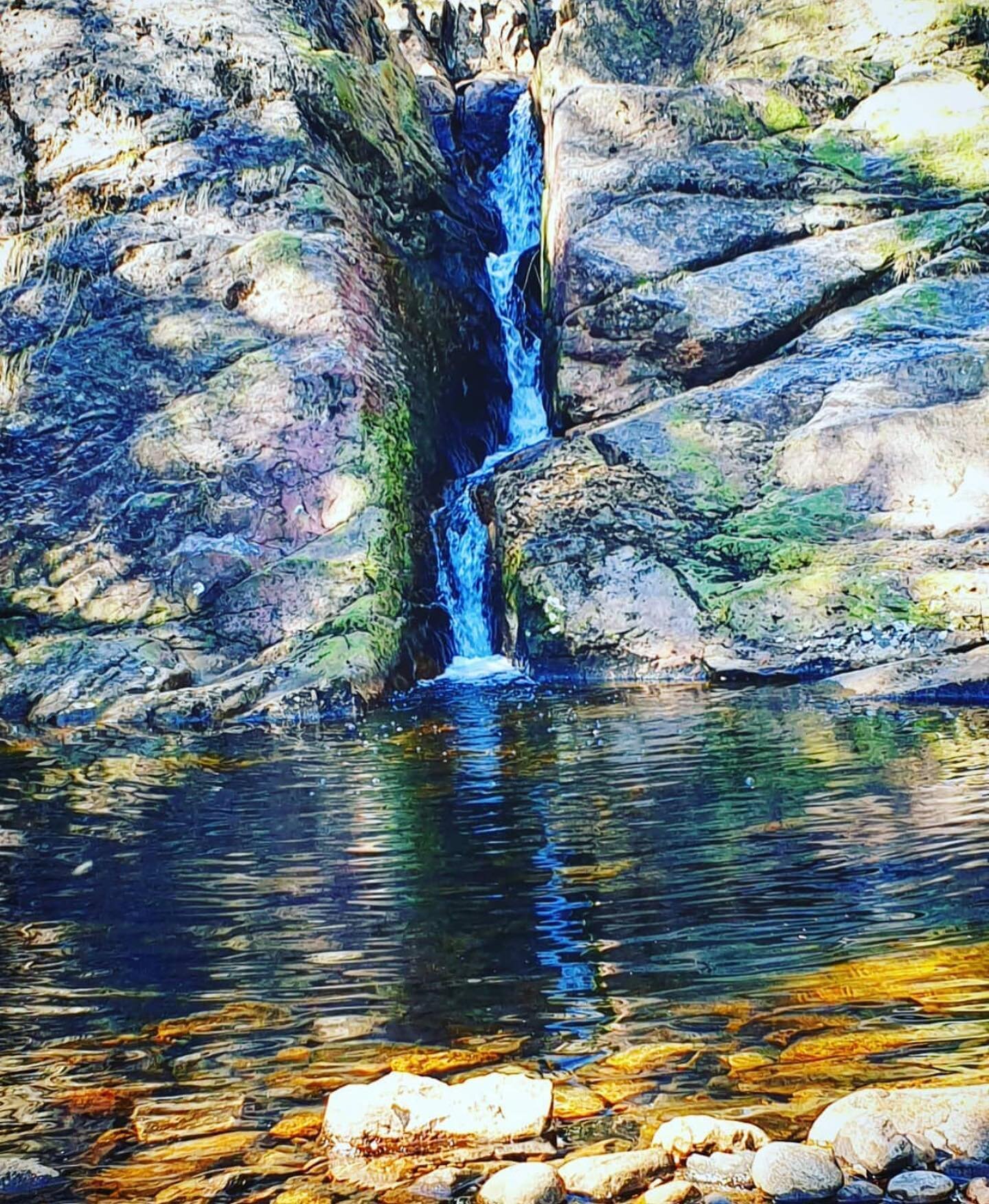 Bombekken i Vennesla💦
-
Foto; @ruthstromstad 👏

.
.
.

#vennesla #vistitvennesla #mittvennesla #hvaskjerivennesla #bes&oslash;kvennesla #t&oslash;mmerrenna #setesdalsbanen #vigelandhovedg&aring;rd #sv&oslash;mmehall #tursti #otra #laksefiske #&osla