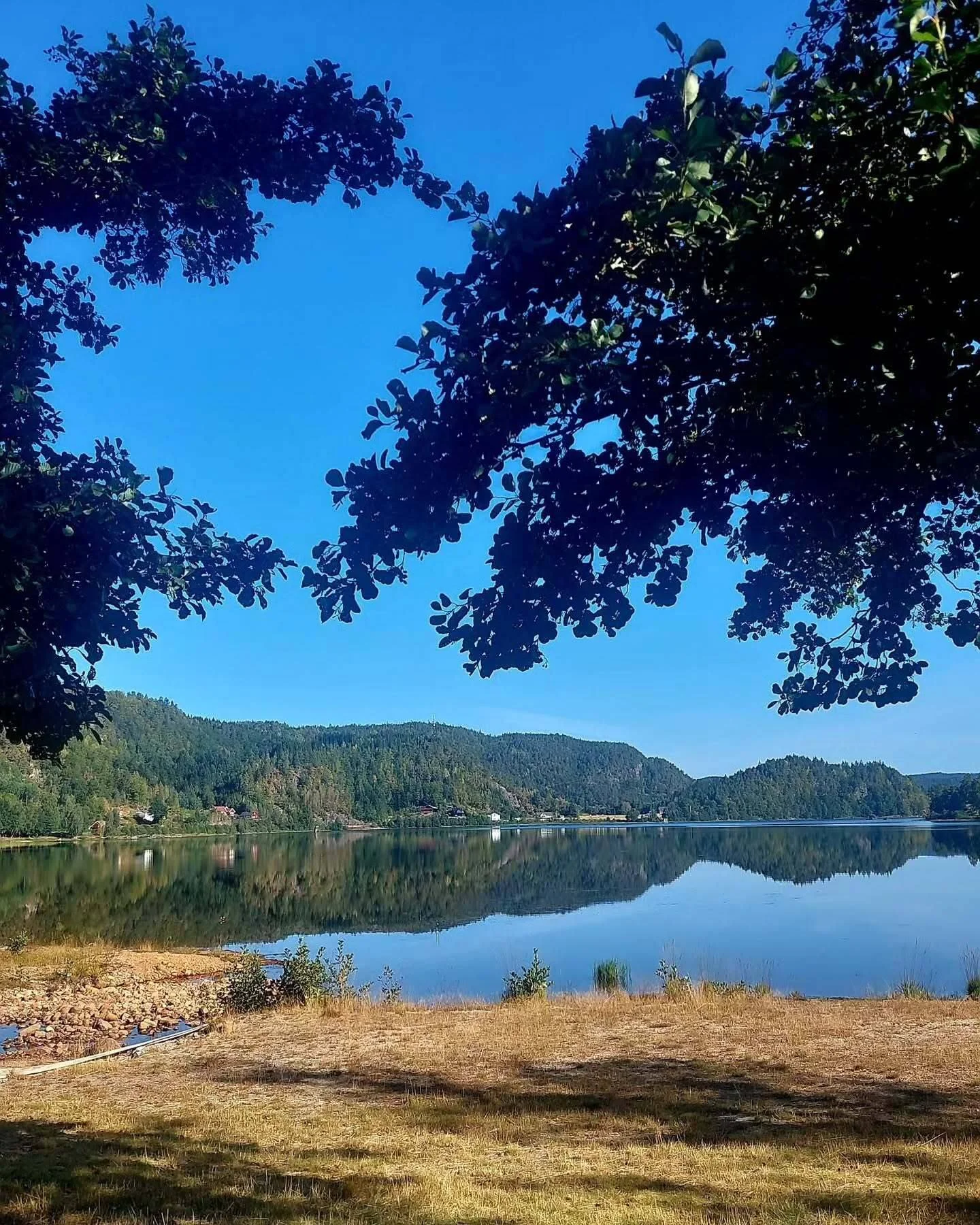 Venneslafjorden ❤

📸: @ingridelisabethbarsgard 

#visitvennesla #vennesla #venneslafjorden #fjord #speilbilde