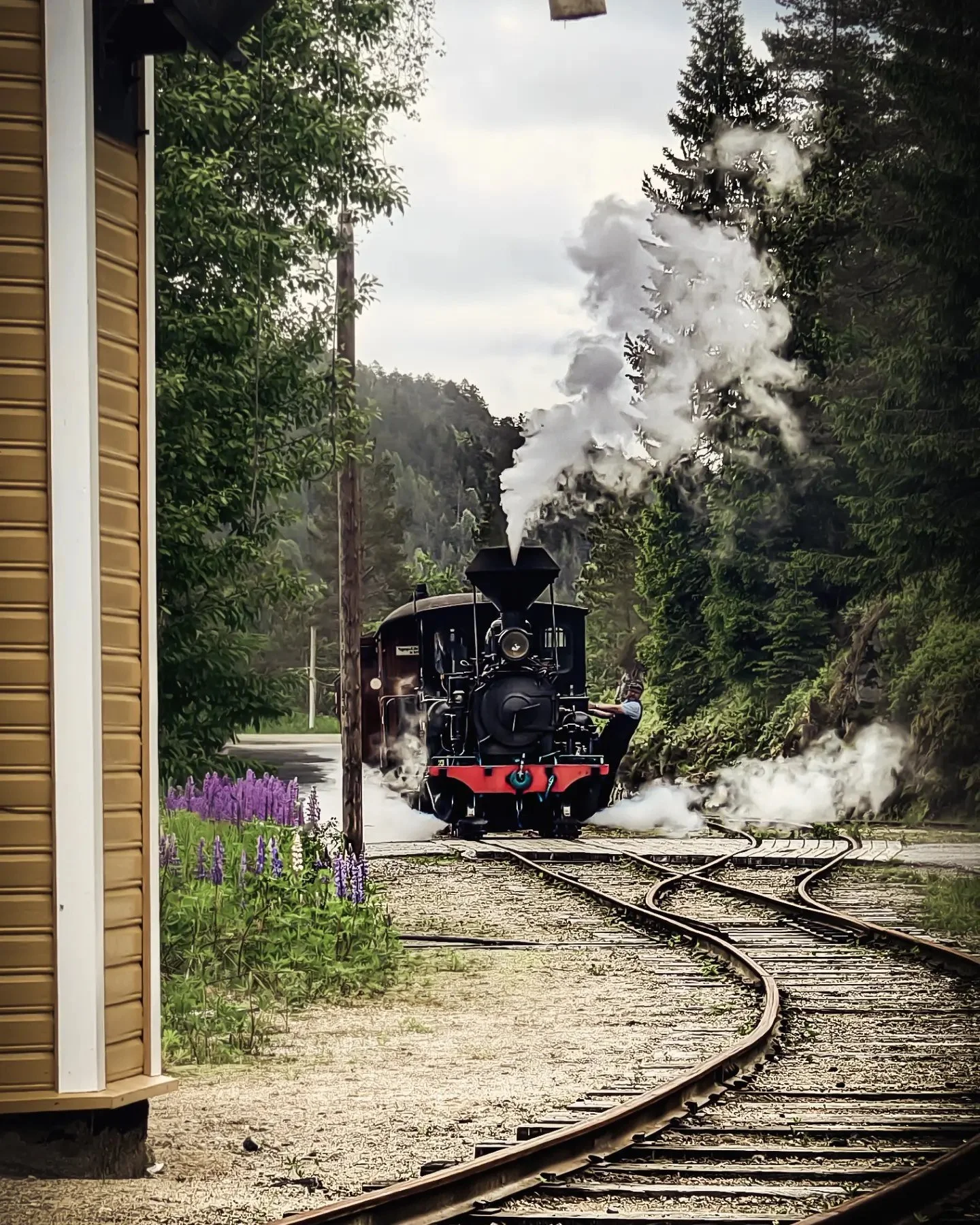 T&oslash;ffe bilder fra R&oslash;yknes stasjon 🚂

📸: @hildr.of.the.forest 🤩

Takk for at dere tagger oss!

#visitvennesla #vennesla #setesdalsbanen #damplokomotiv