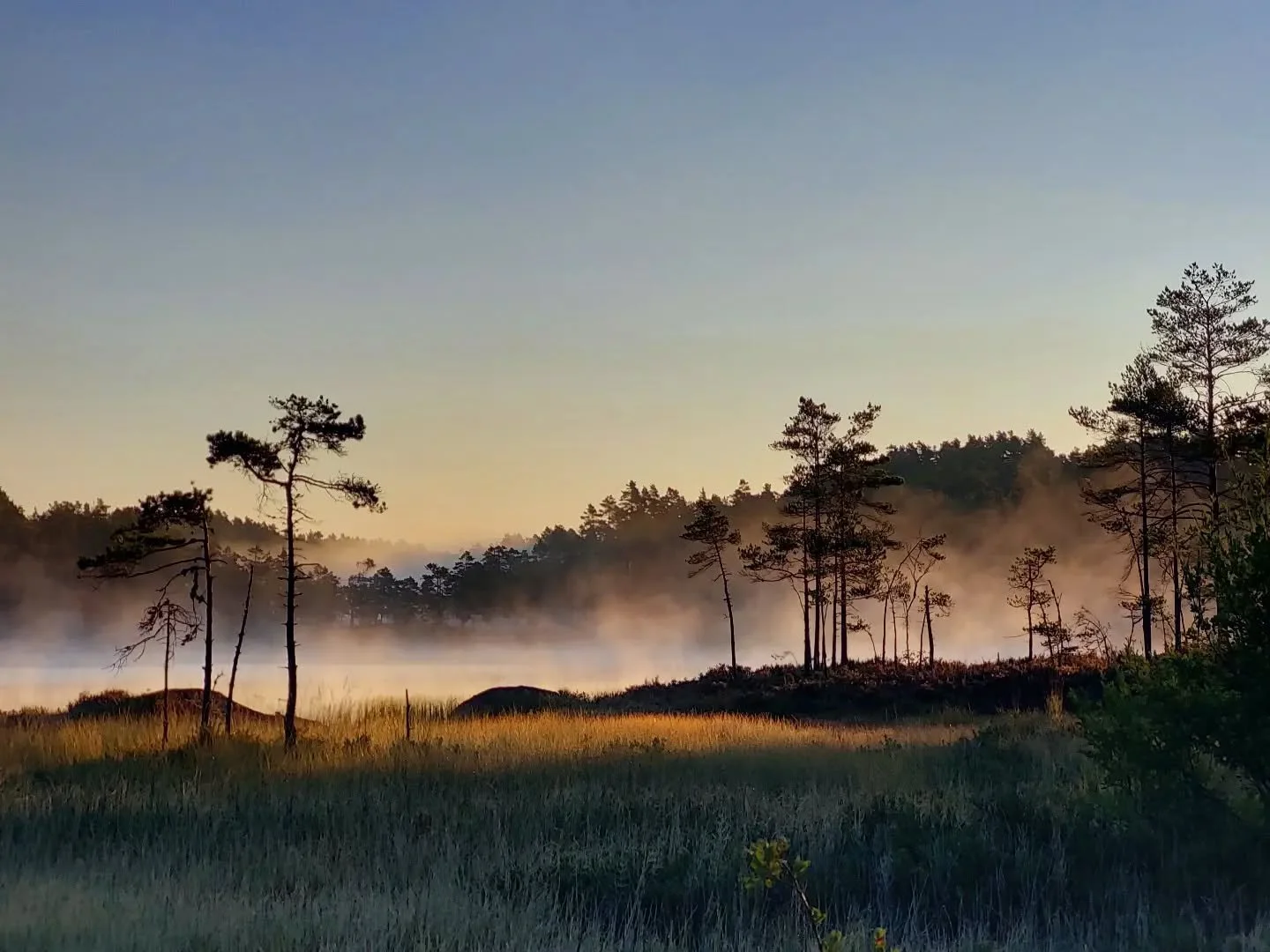 Morgent&aring;ke over B&aelig;rvannet p&aring; &Oslash;vreb&oslash; 🌫️

Bilde: @aslaug.t.stolen 

#solknipen #visitvennesla #visits&oslash;rlandet #naturfoto
