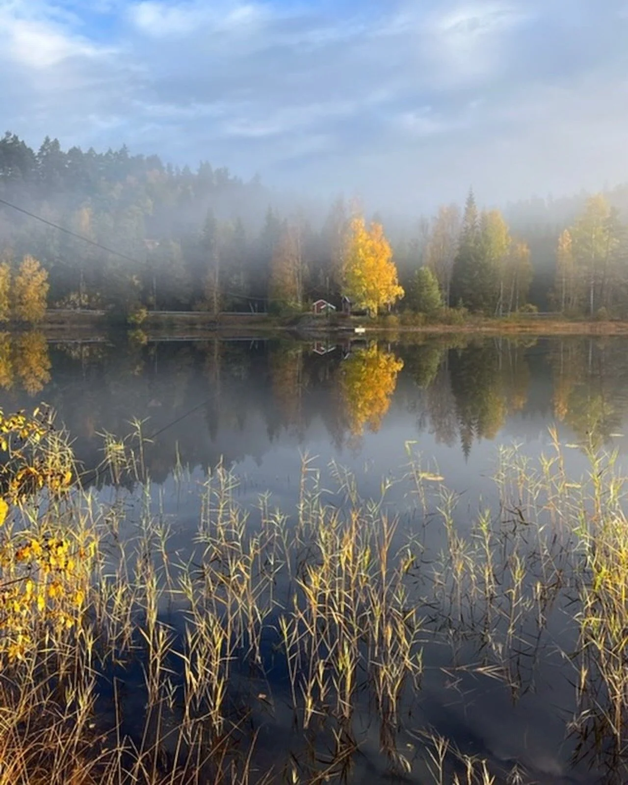 Nydelige h&oslash;stfarger p&aring; Jeppest&oslash;l 🍂

Takk til @jepp_nature for dette fine bildet!

#visitvennesla #jeppest&oslash;l #vennesla #h&oslash;st